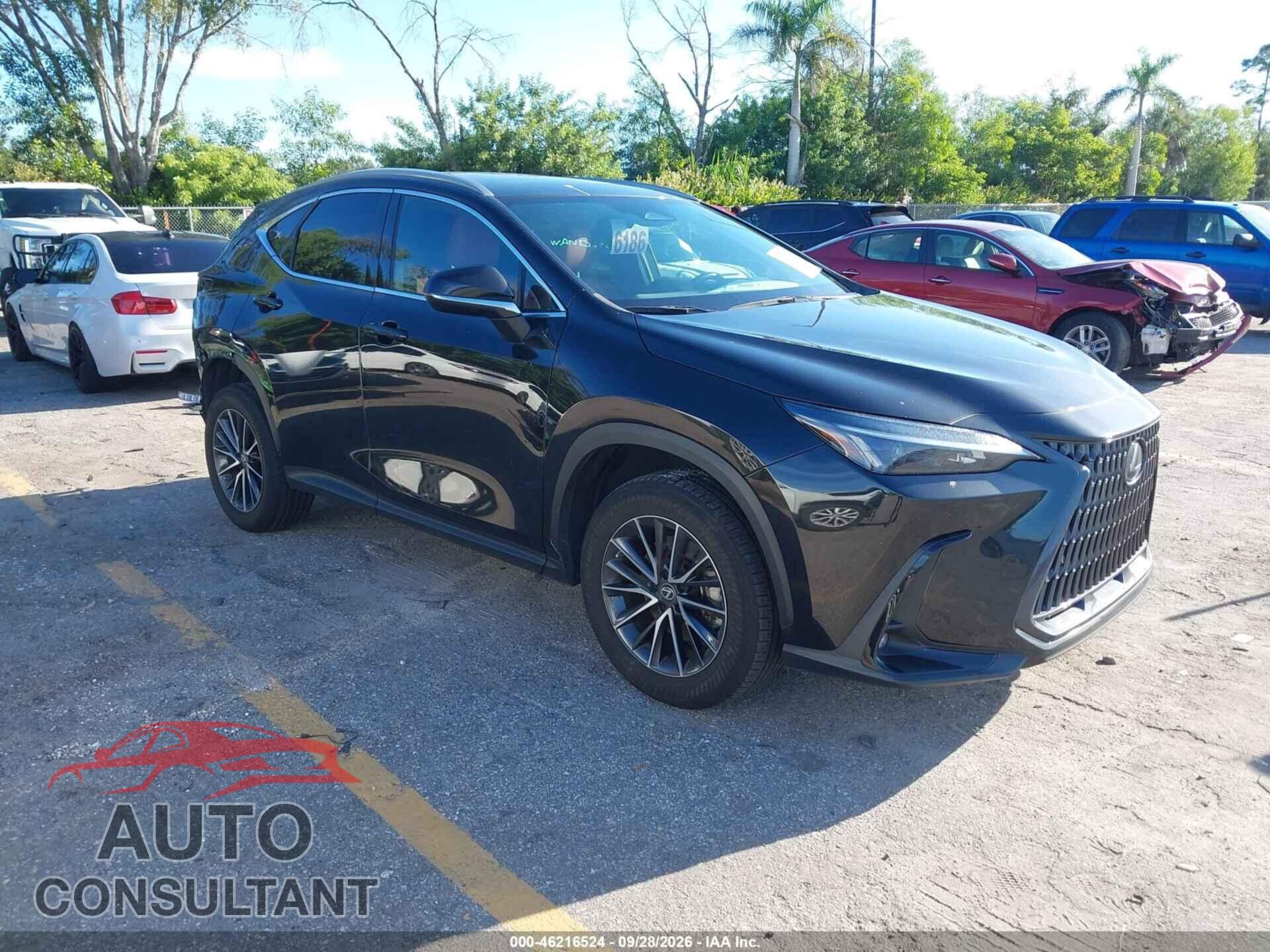 LEXUS NX 350 2023 - 2T2GGCEZ3PC022413