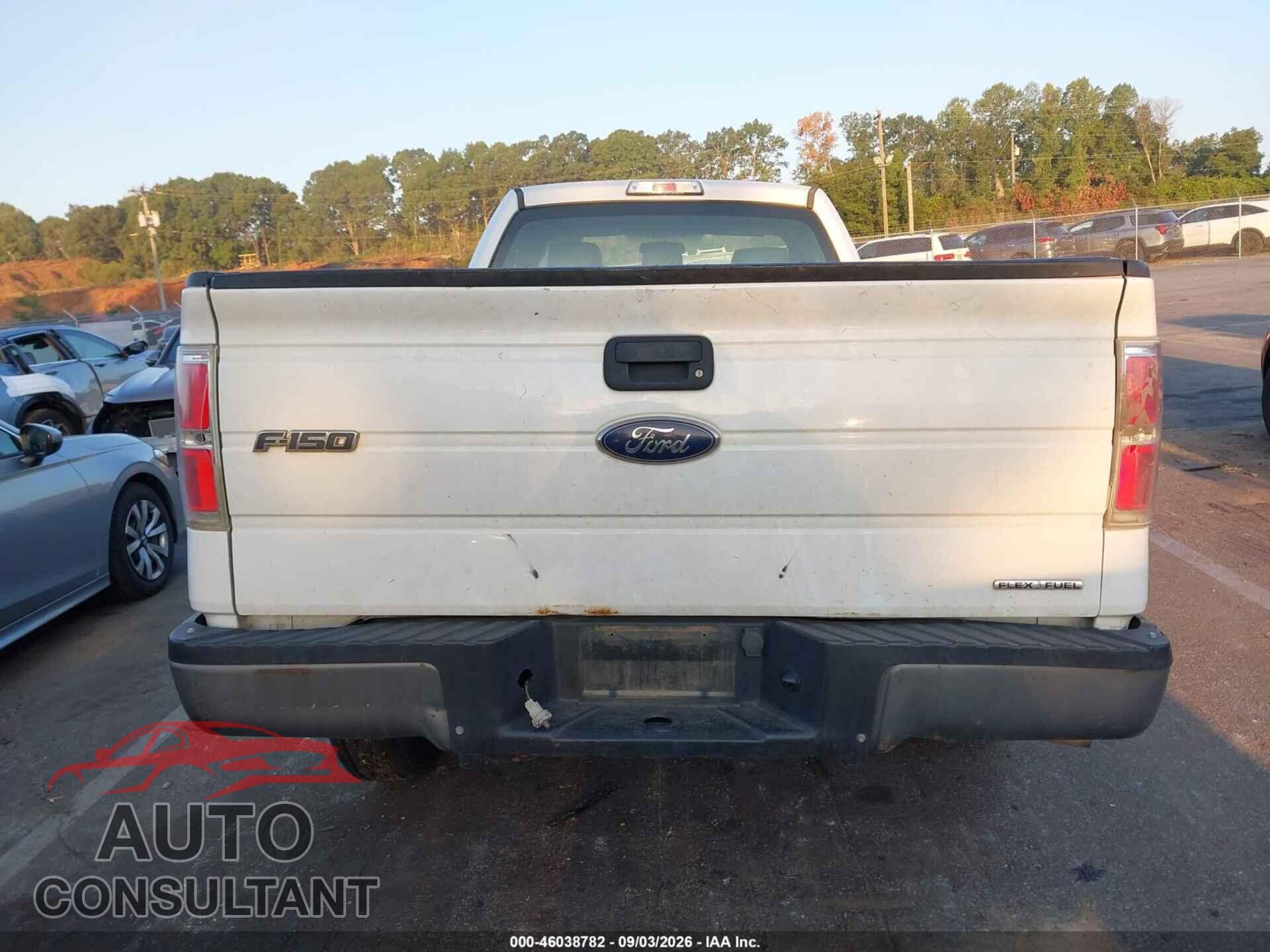 FORD F-150 2013 - 1FTMF1CM3DKD55968