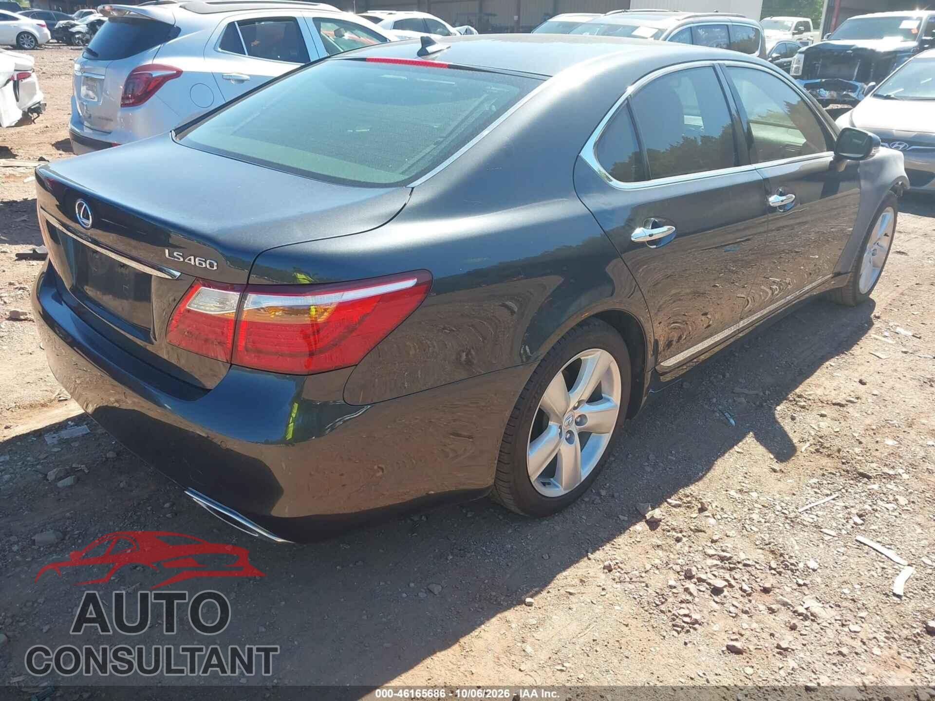 LEXUS LS 460 2011 - JTHBL5EFXB5104087