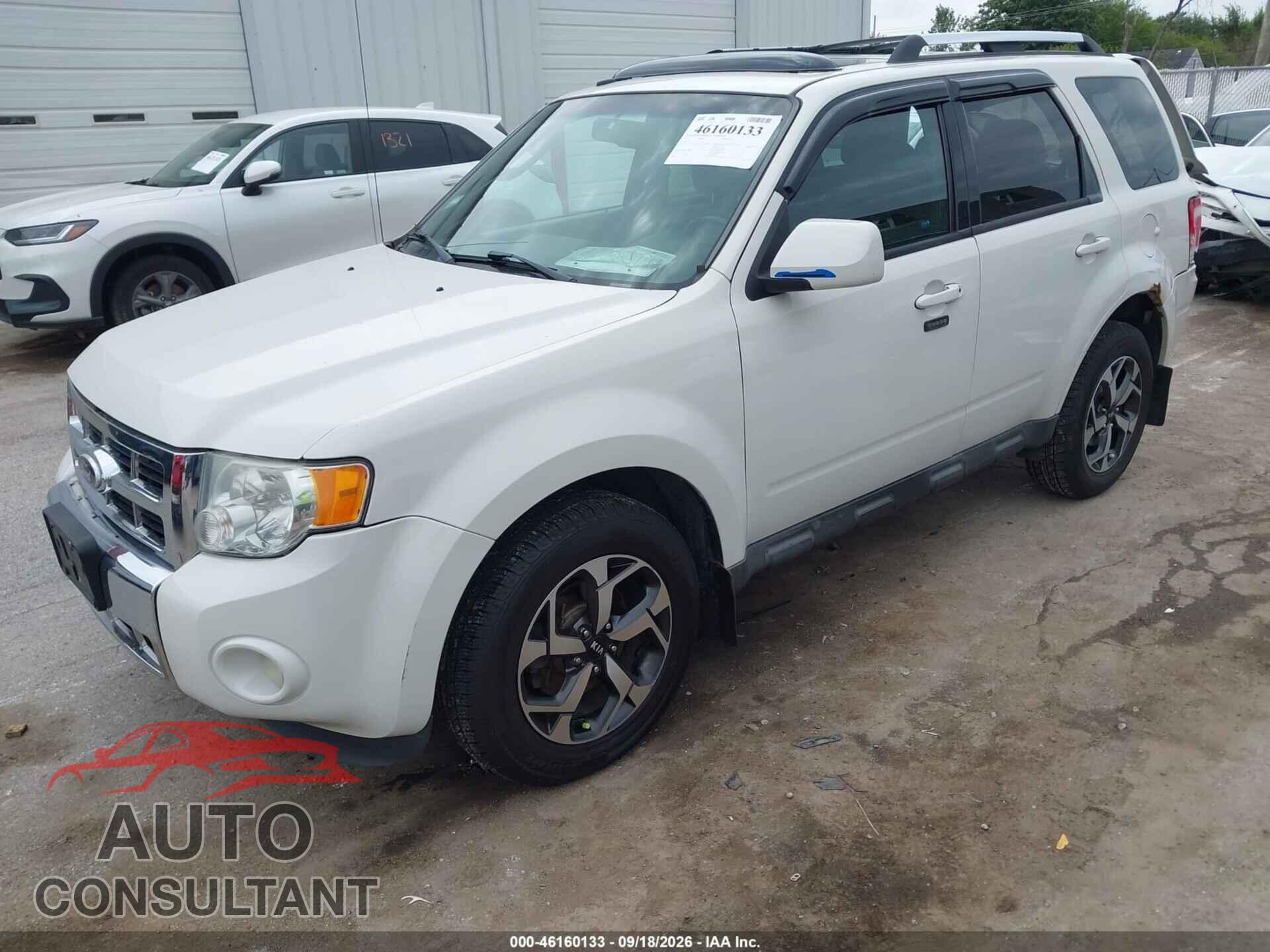 FORD ESCAPE 2011 - 1FMCU9EG7BKA05193