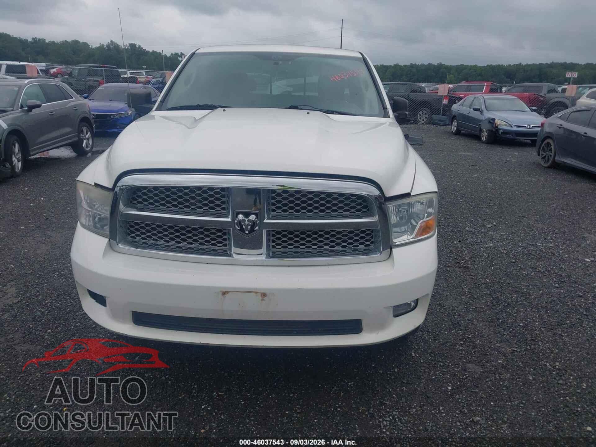 DODGE RAM 1500 2009 - 1D3HV13T29J515953