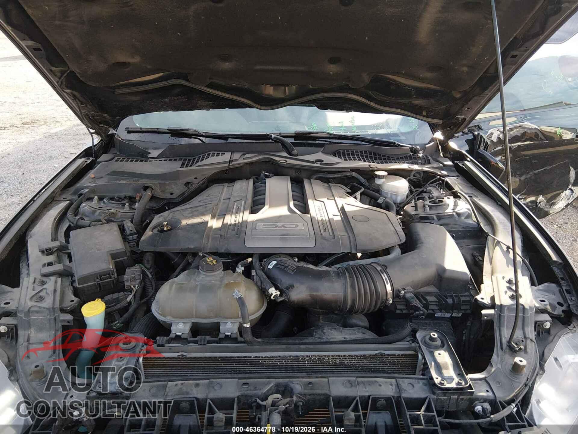FORD MUSTANG 2019 - 1FA6P8CF4K5118519