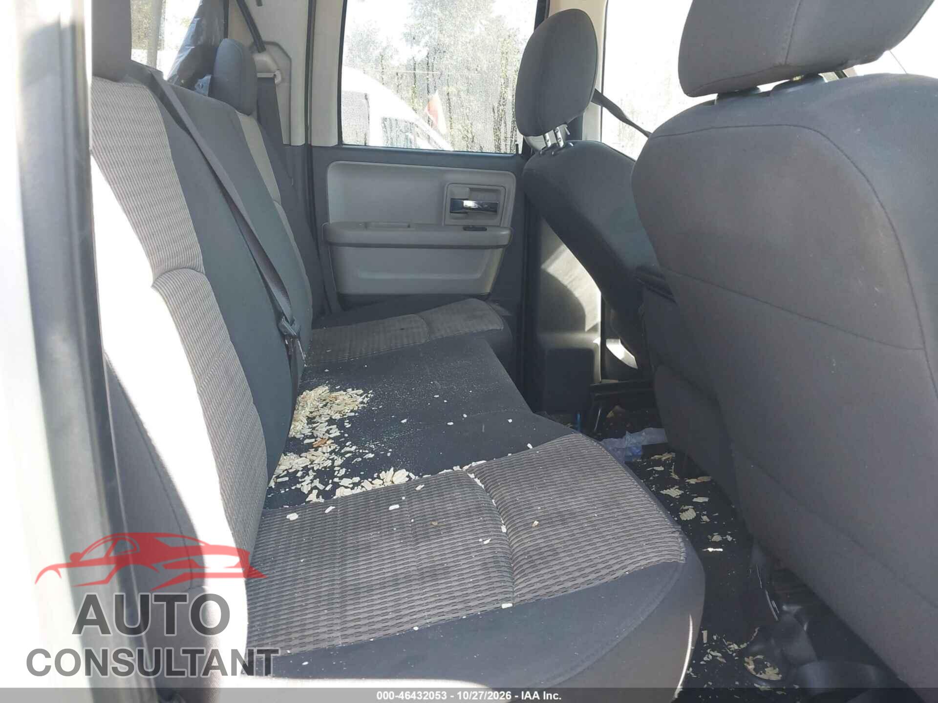 DODGE RAM 1500 2010 - 1D7RB1GP8AS184769