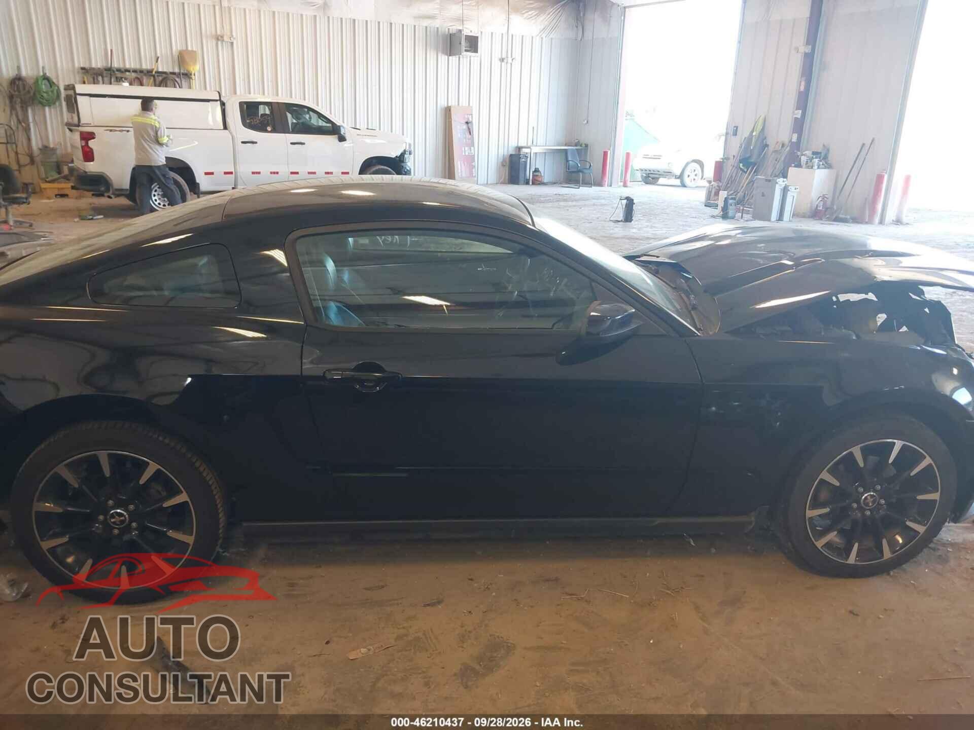 FORD MUSTANG 2012 - 1ZVBP8AM6C5243143