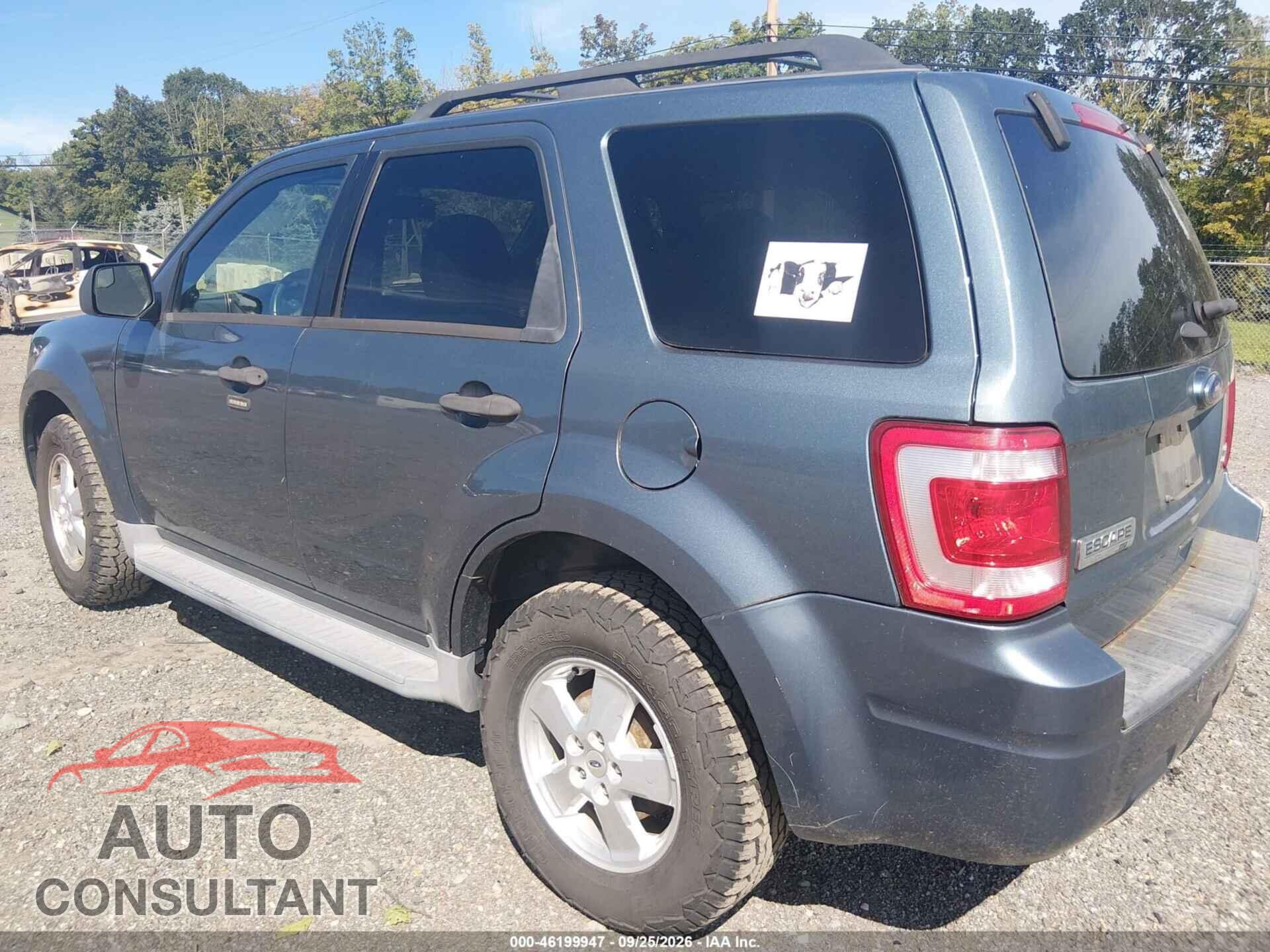 FORD ESCAPE 2011 - 1FMCU9DG4BKA77938