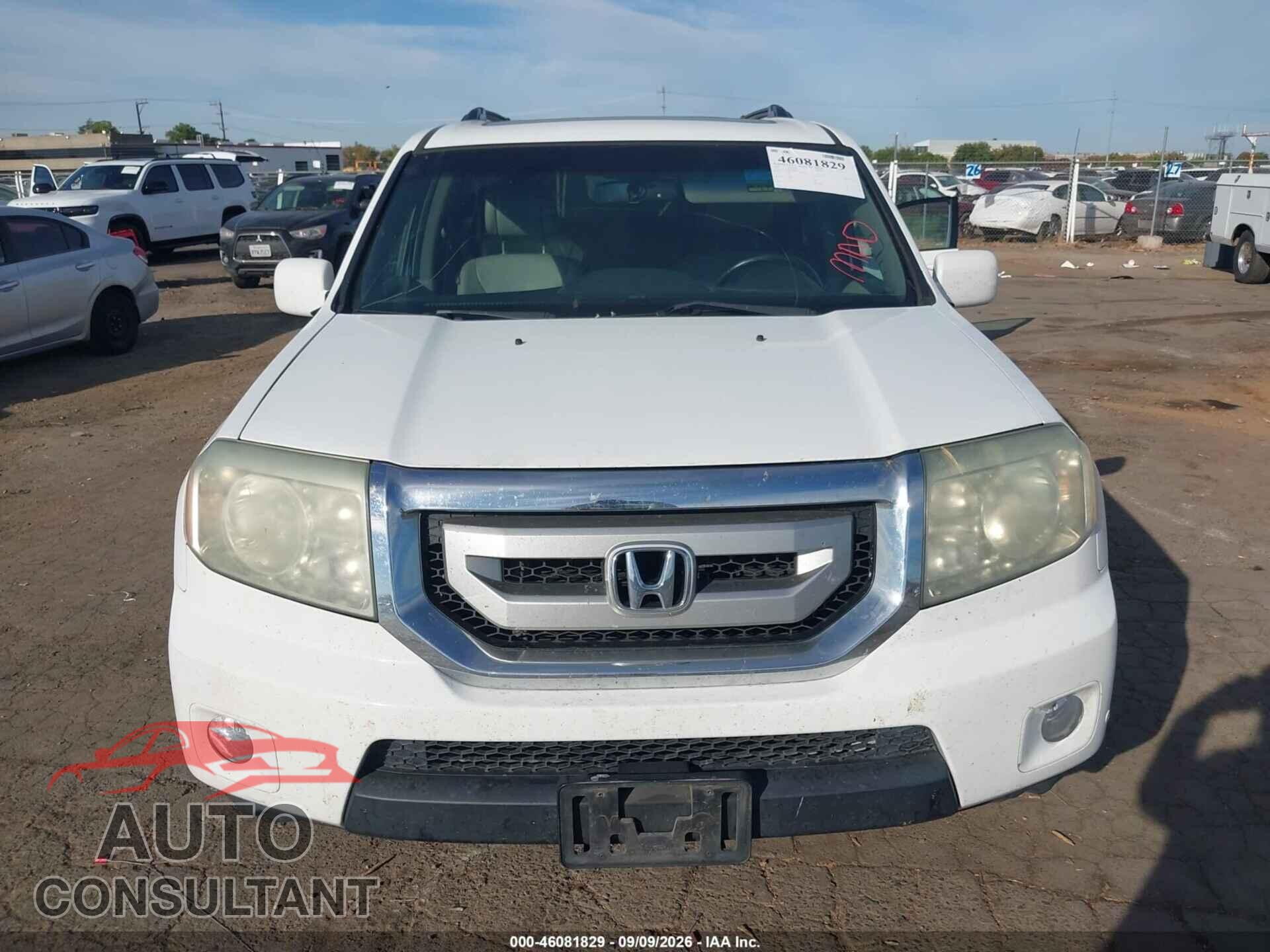 HONDA PILOT 2010 - 5FNYF3H95AB008877