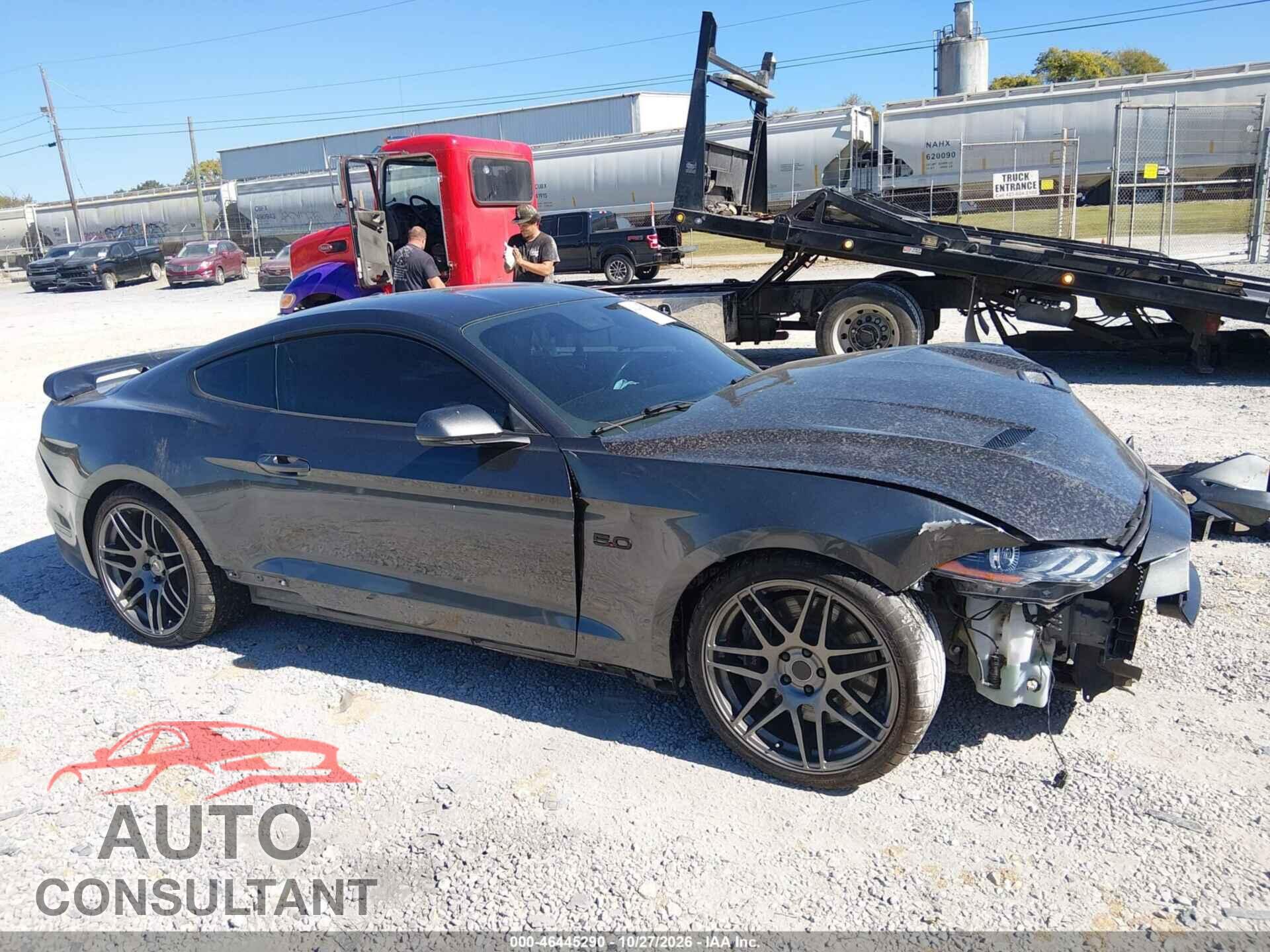 FORD MUSTANG 2019 - 1FA6P8CF6K5199538
