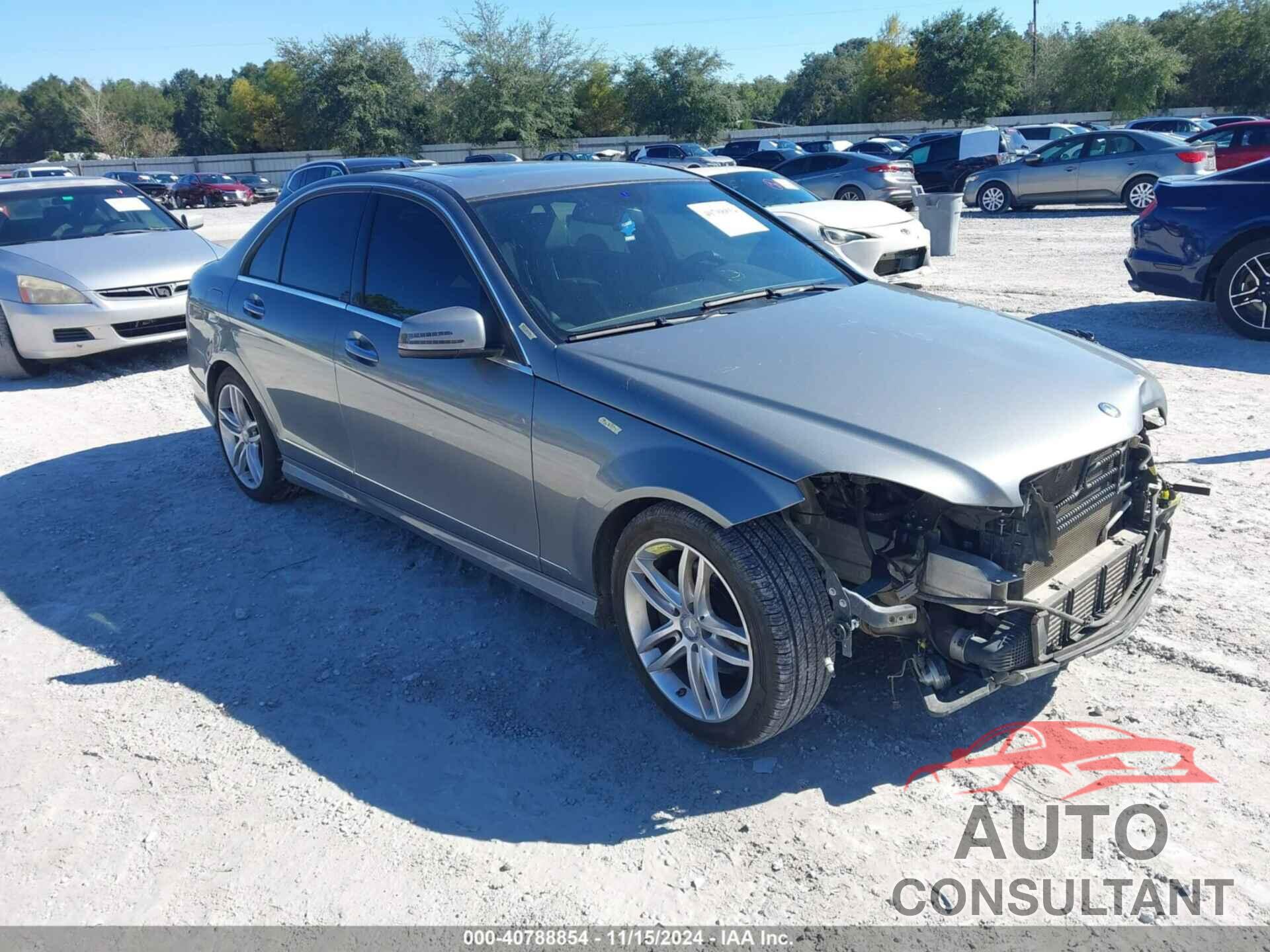 MERCEDES-BENZ C 250 2013 - WDDGF4HB0DR257886