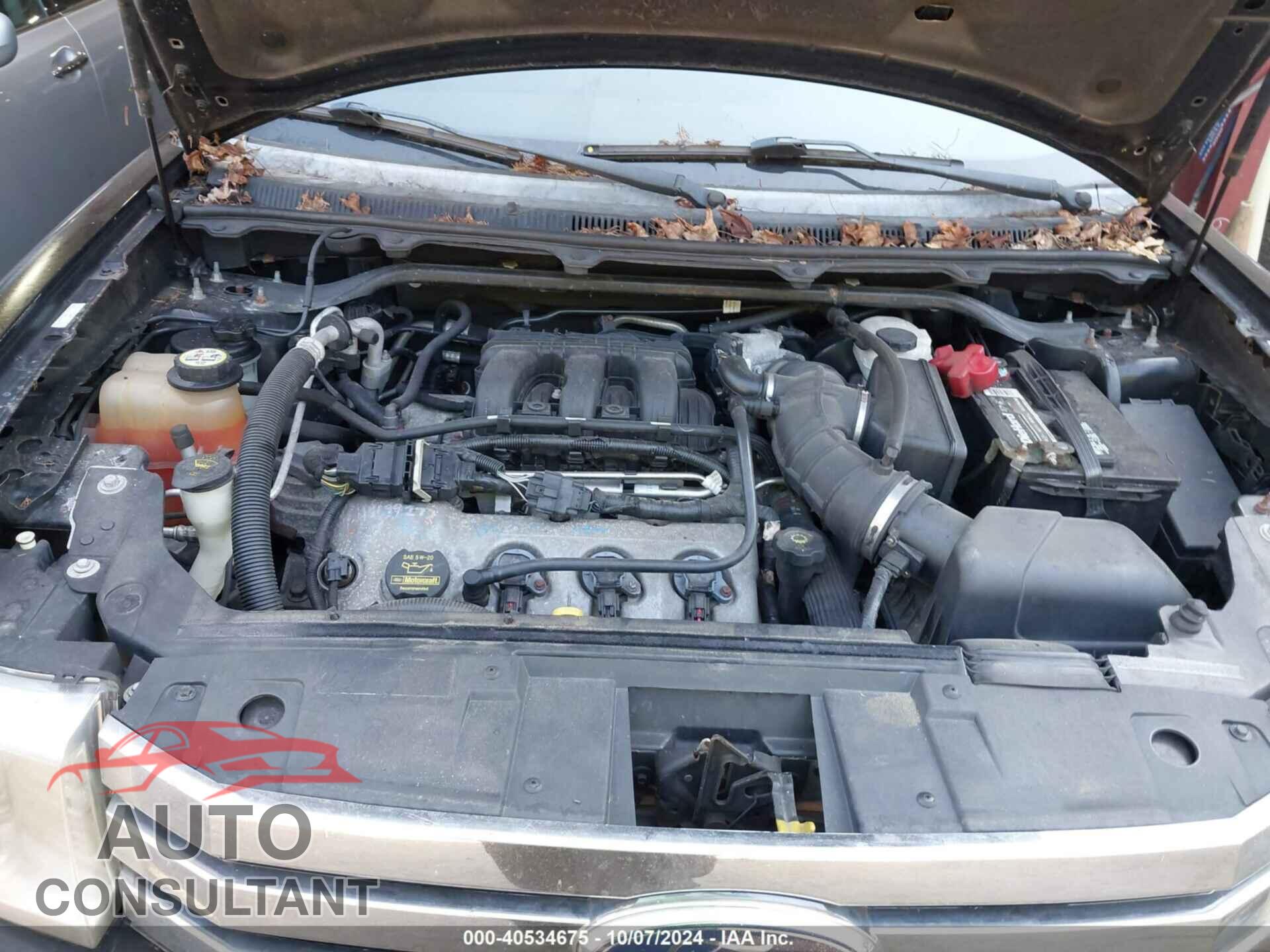 FORD FLEX 2009 - 2FMEK62C19BA09341