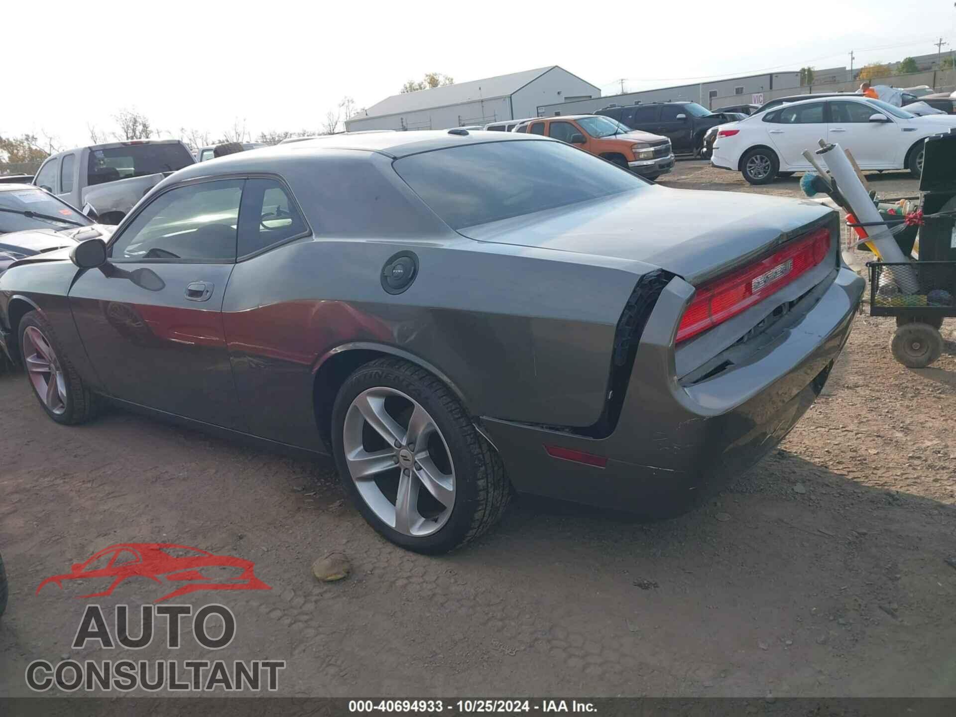 DODGE CHALLENGER 2010 - 2B3CJ4DV7AH278304