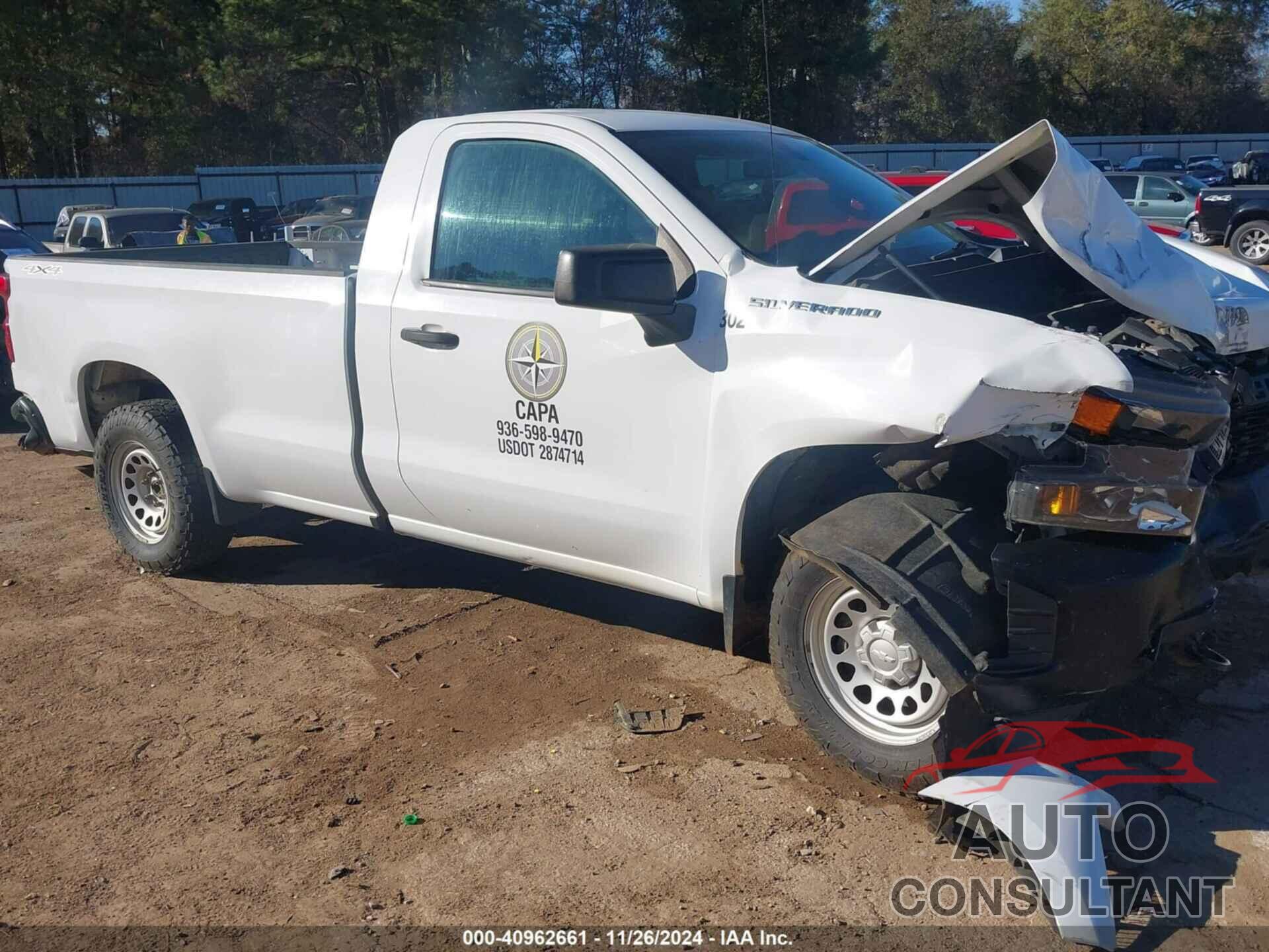 CHEVROLET SILVERADO 1500 2020 - 3GCNYAEF9LG137486