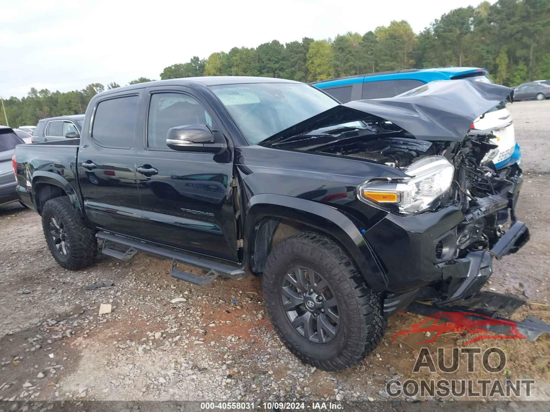 TOYOTA TACOMA 2023 - 3TMCZ5AN4PM613496