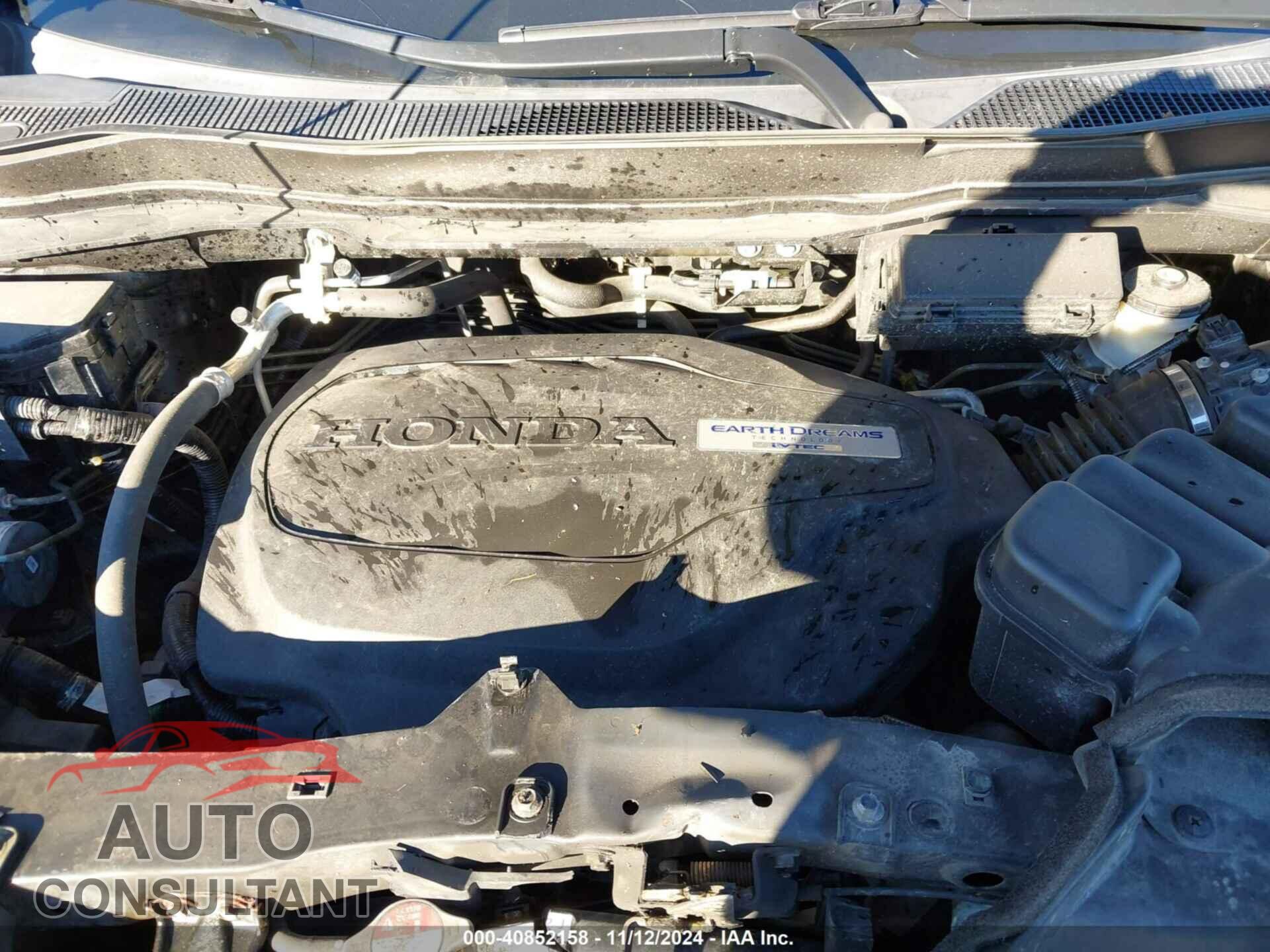 HONDA RIDGELINE 2019 - 5FPYK3F51KB001056