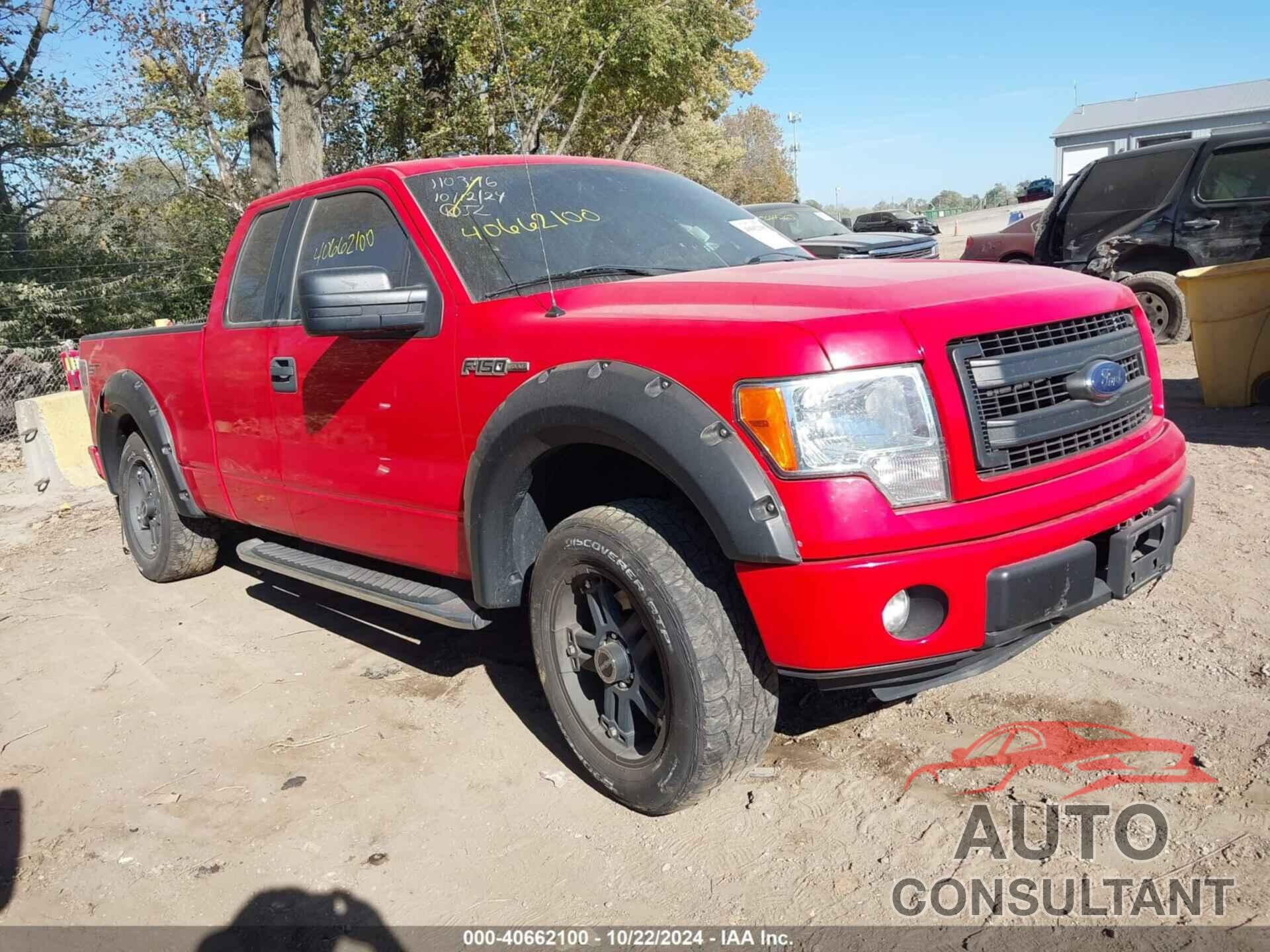 FORD F-150 2013 - 1FTFX1EF2DFB42958