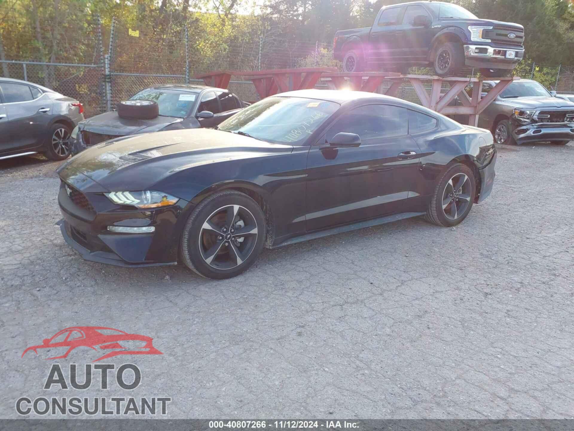 FORD MUSTANG 2019 - 1FA6P8TH5K5157816