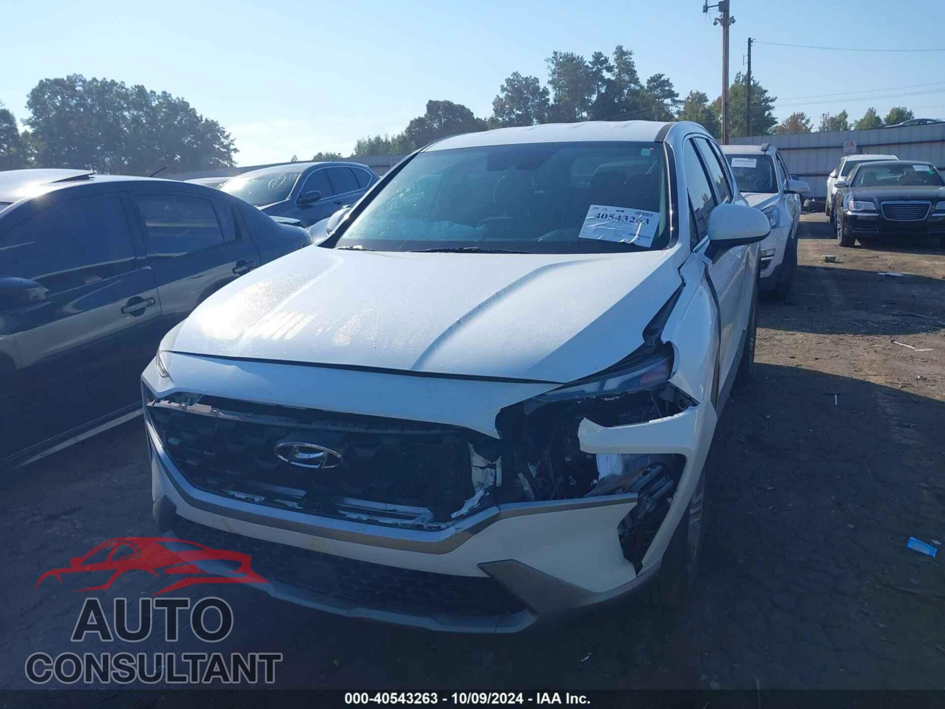 HYUNDAI SANTA FE 2023 - 5NMS14AJ6PH496825