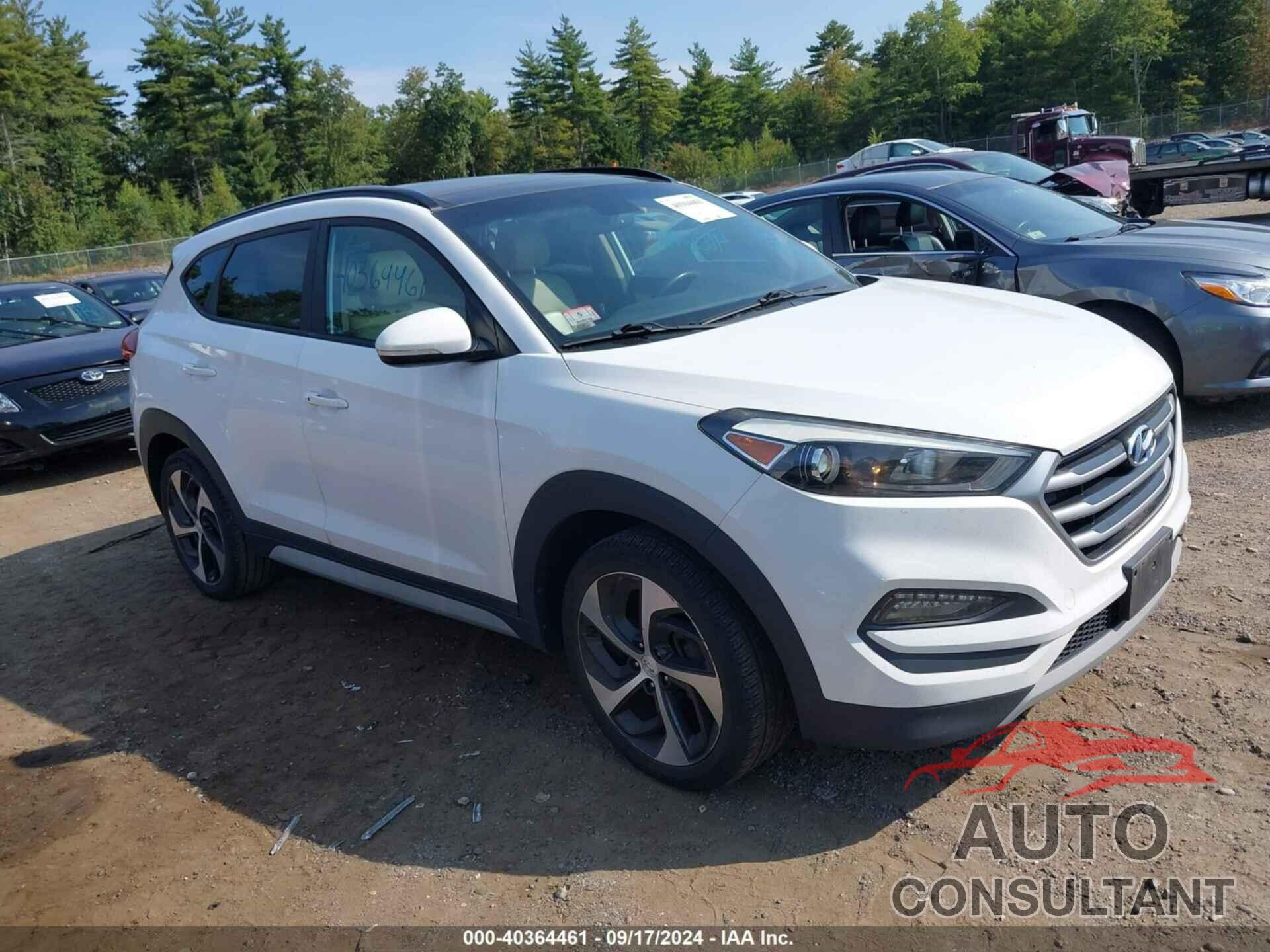 HYUNDAI TUCSON 2017 - KM8J3CA25HU569276