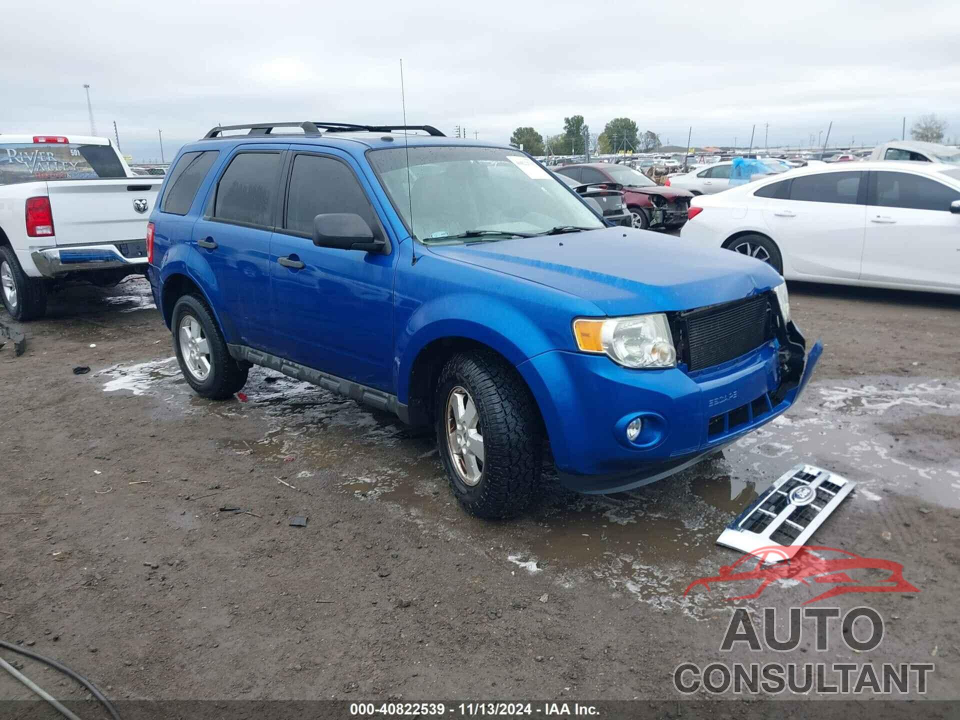 FORD ESCAPE 2011 - 1FMCU0DG5BKB09971