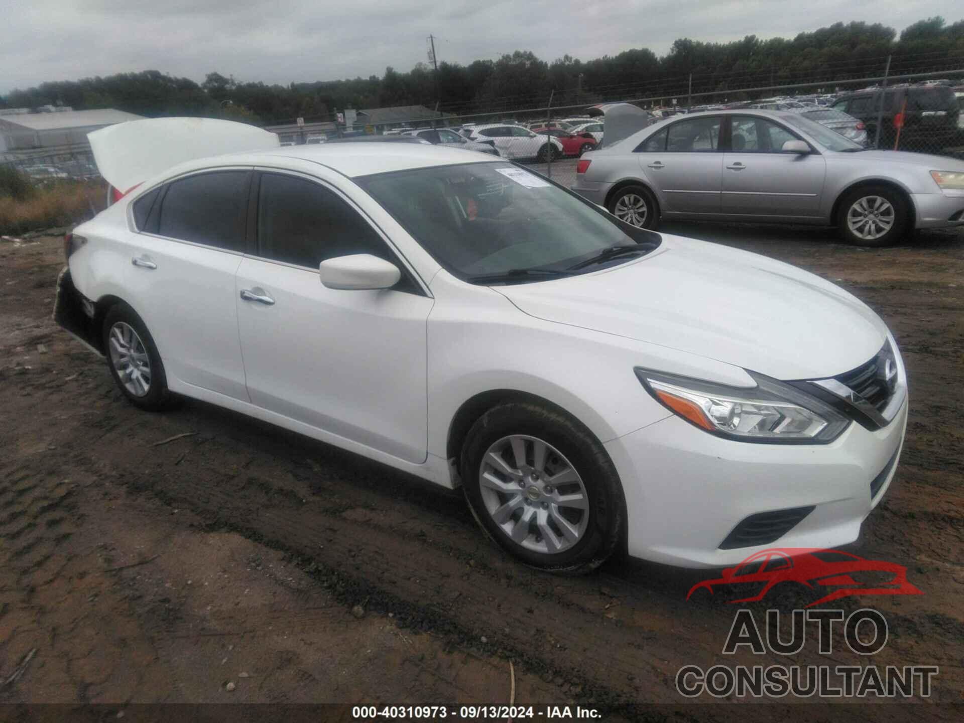 NISSAN ALTIMA 2017 - 1N4AL3AP1HC487492