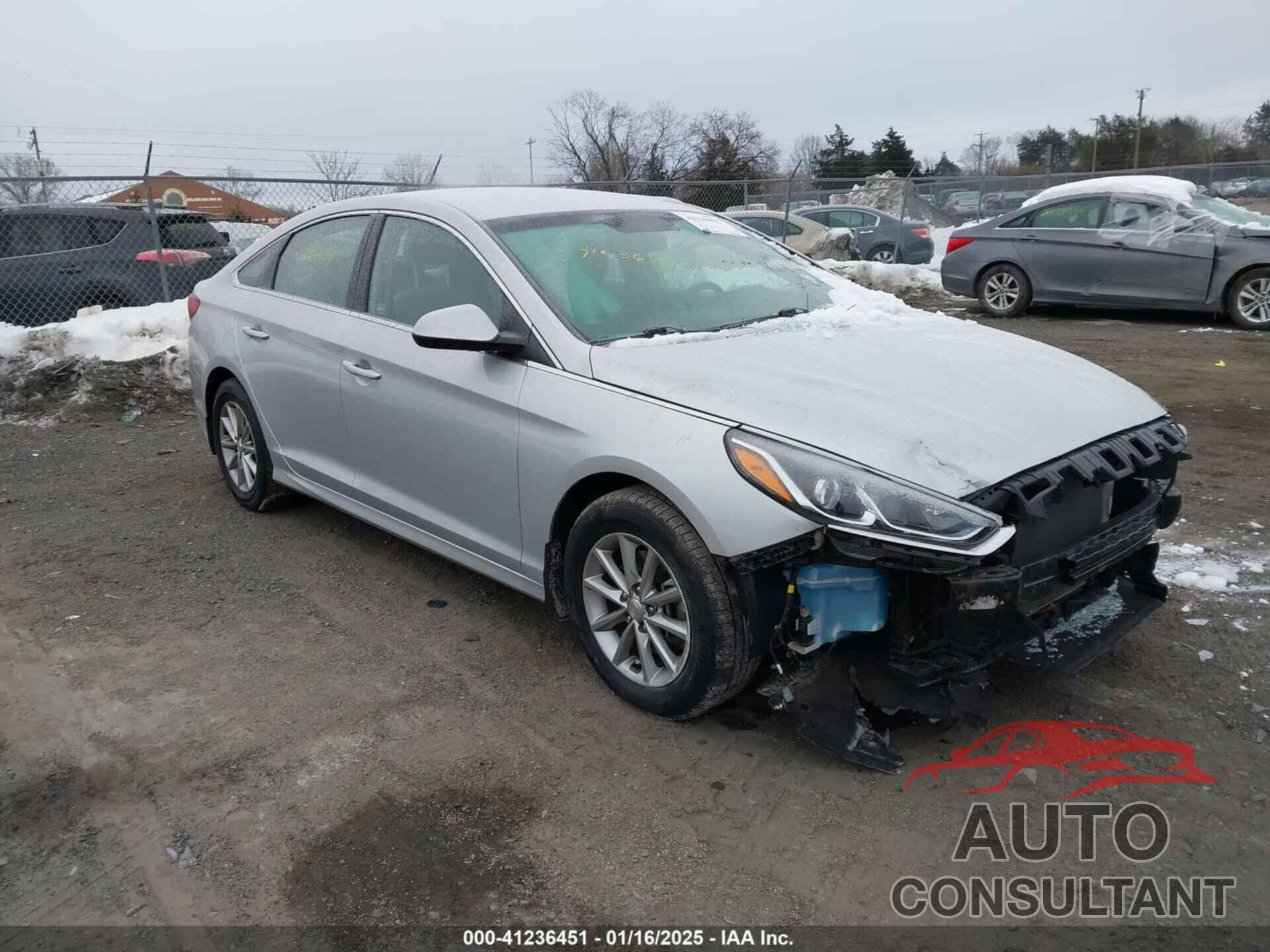 HYUNDAI SONATA 2019 - 5NPE24AF5KH803807