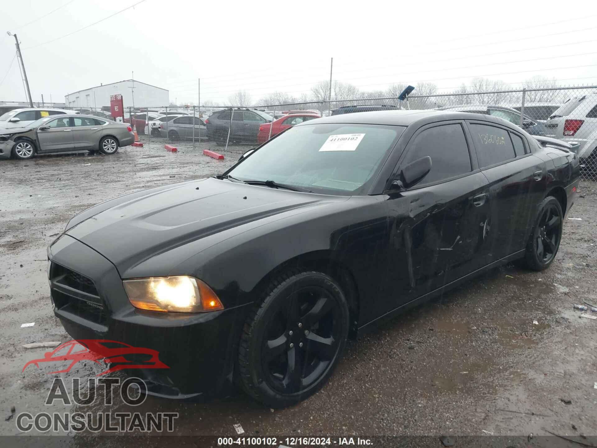 DODGE CHARGER 2013 - 2C3CDXHG3DH695950