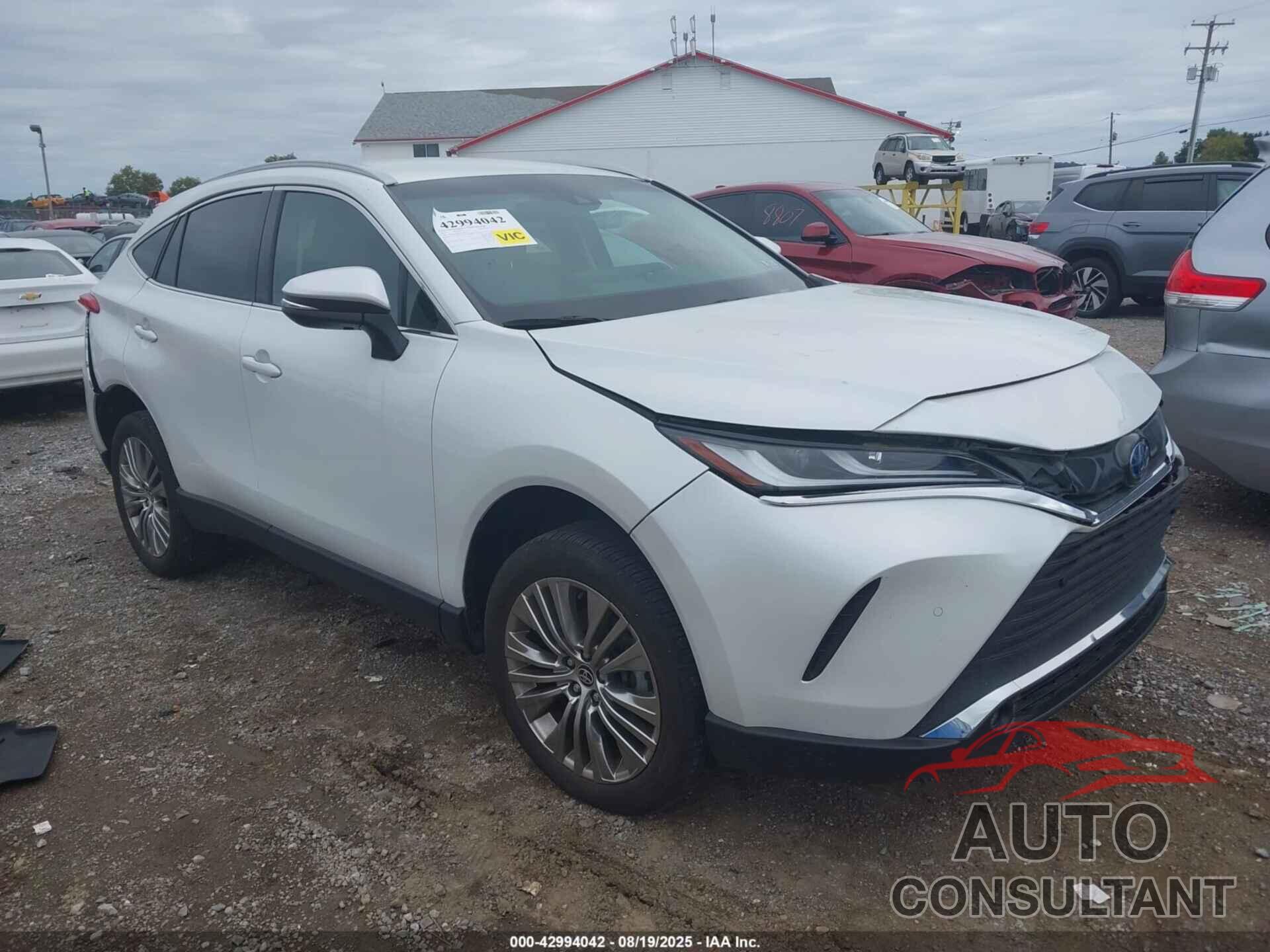 TOYOTA VENZA 2023 - JTEAAAAH6PJ119179