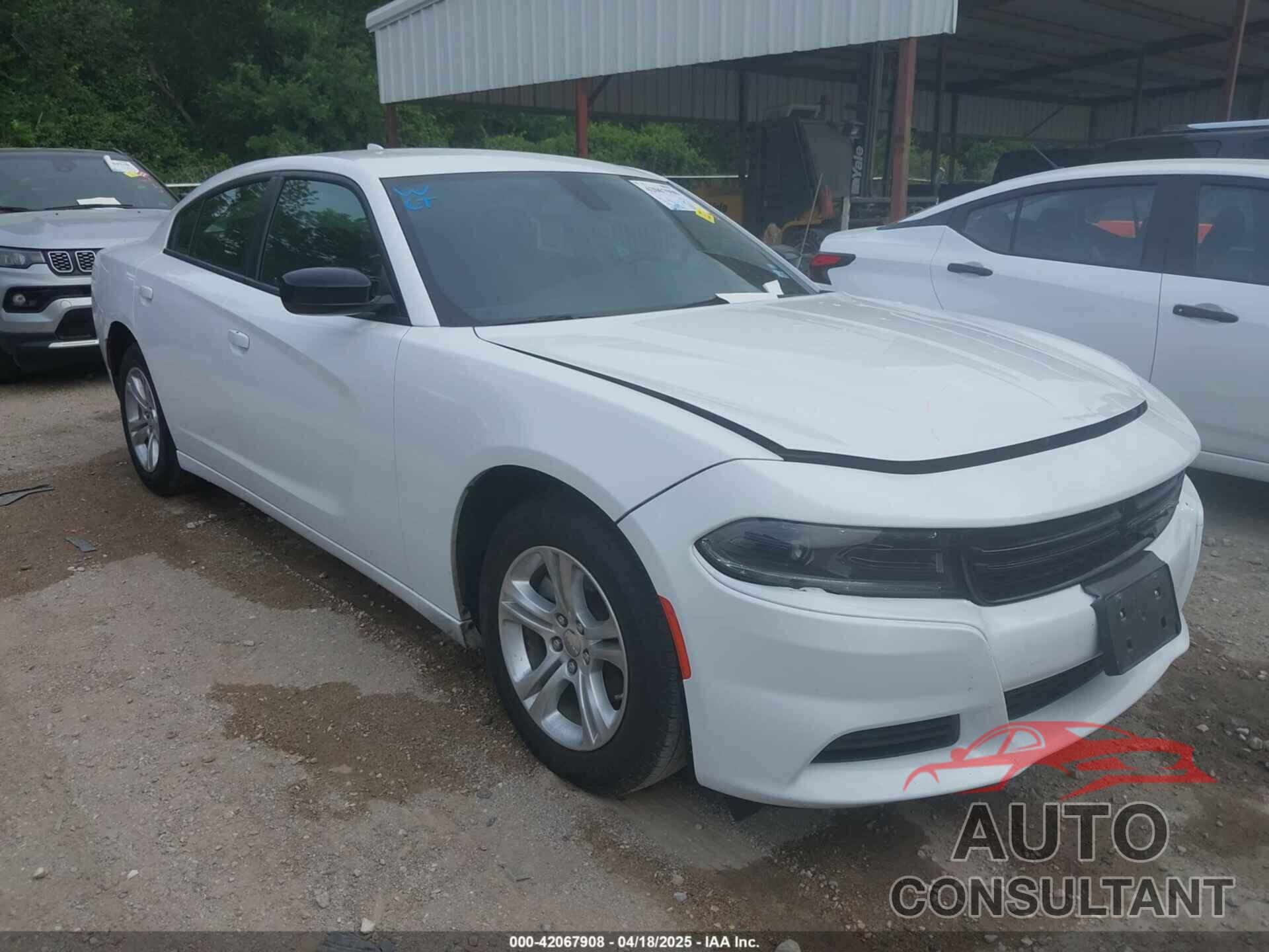 DODGE CHARGER 2023 - 2C3CDXBG2PH530257