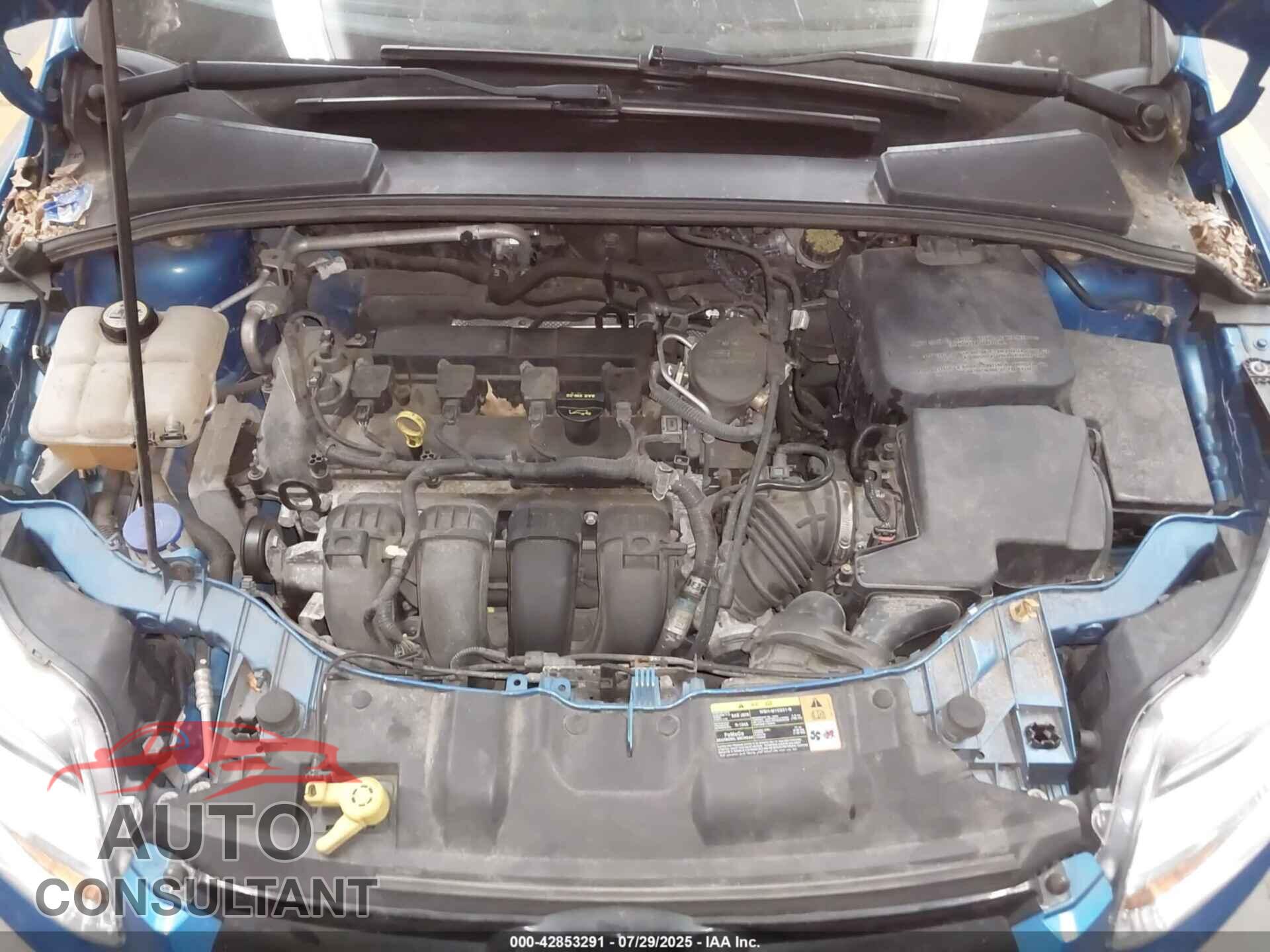 FORD FOCUS 2012 - 1FAHP3F28CL442820
