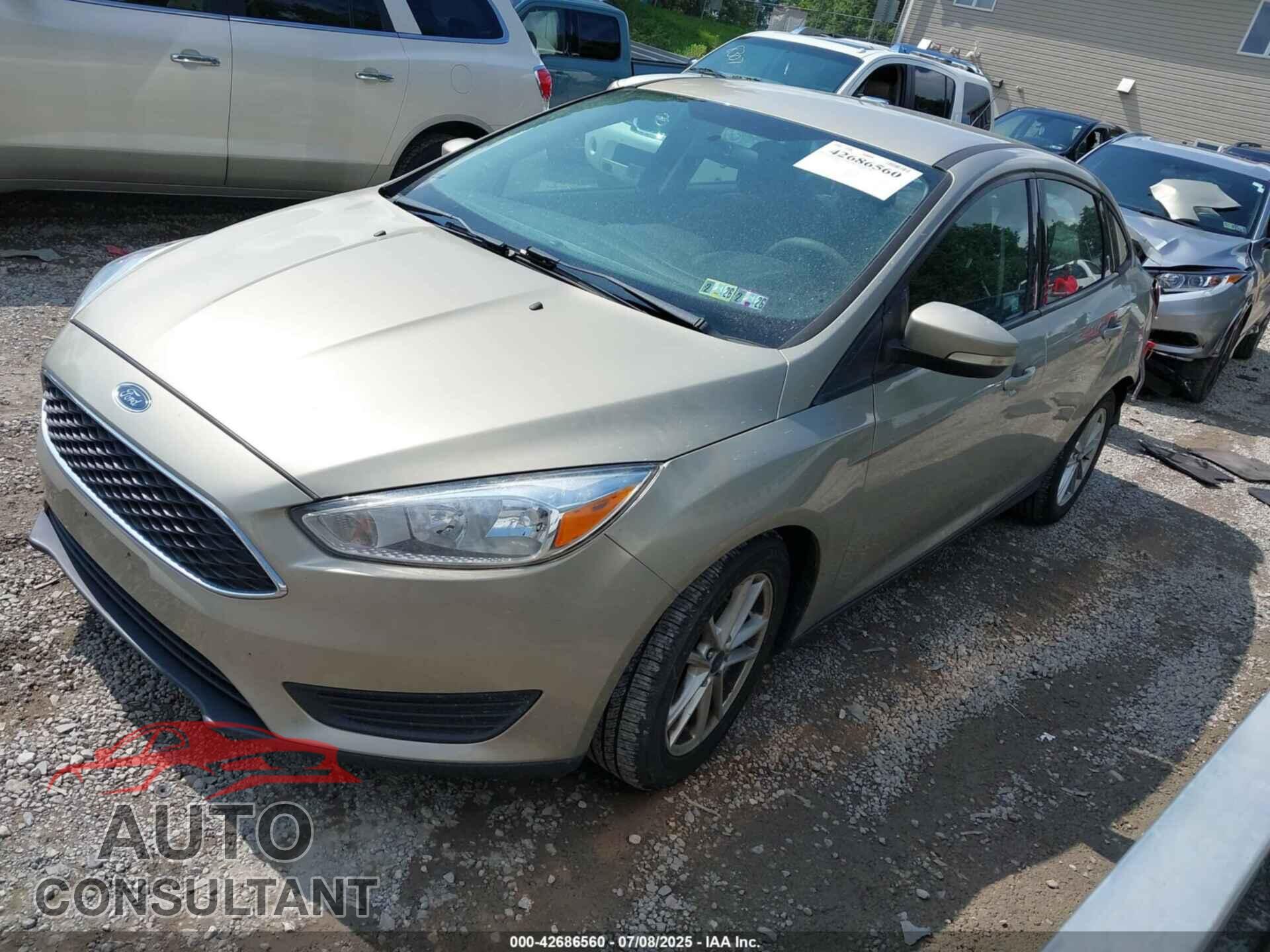 FORD FOCUS 2016 - 1FADP3F21GL314455