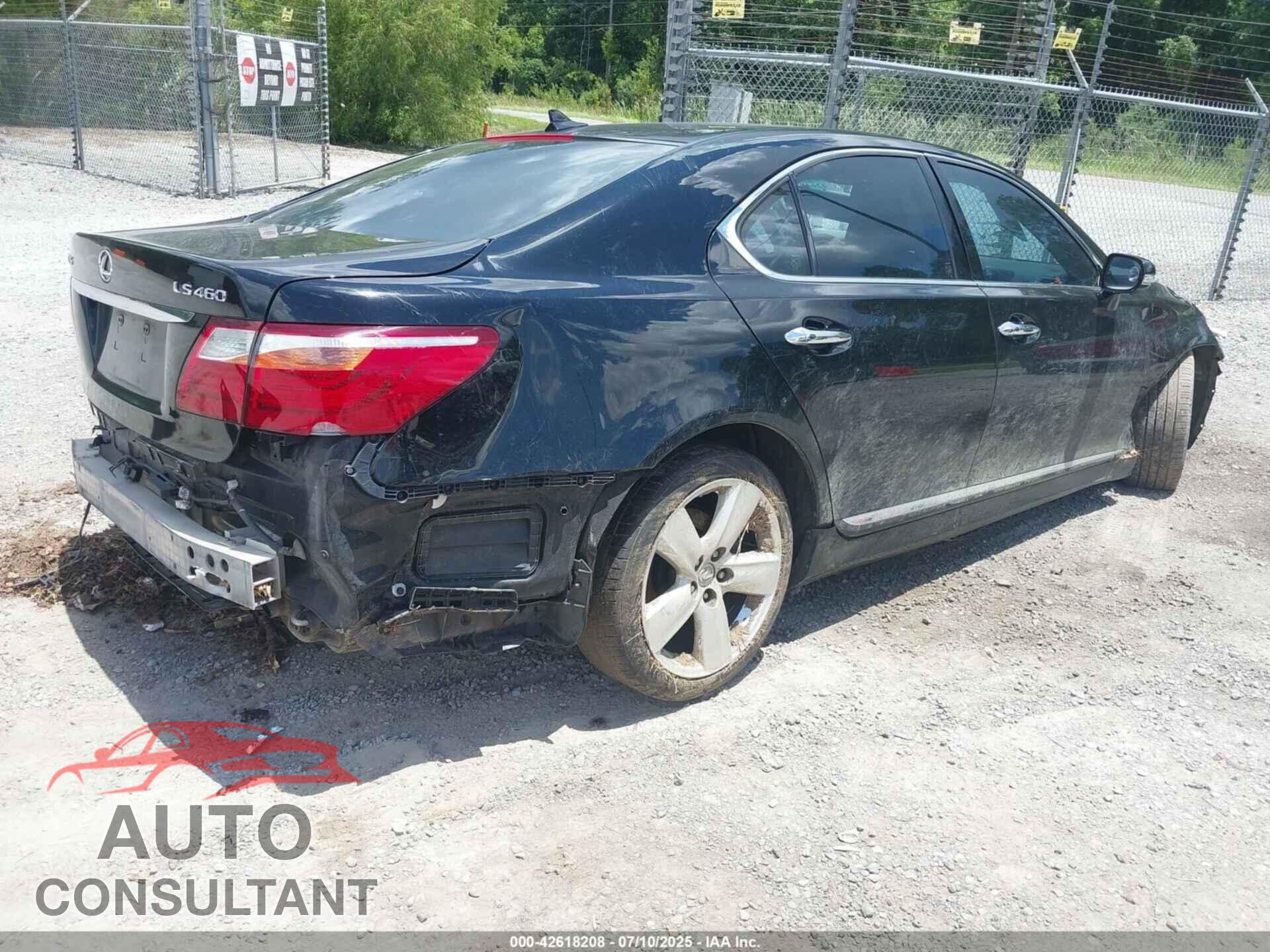 LEXUS LS 460 2010 - JTHBL5EF4A5091934