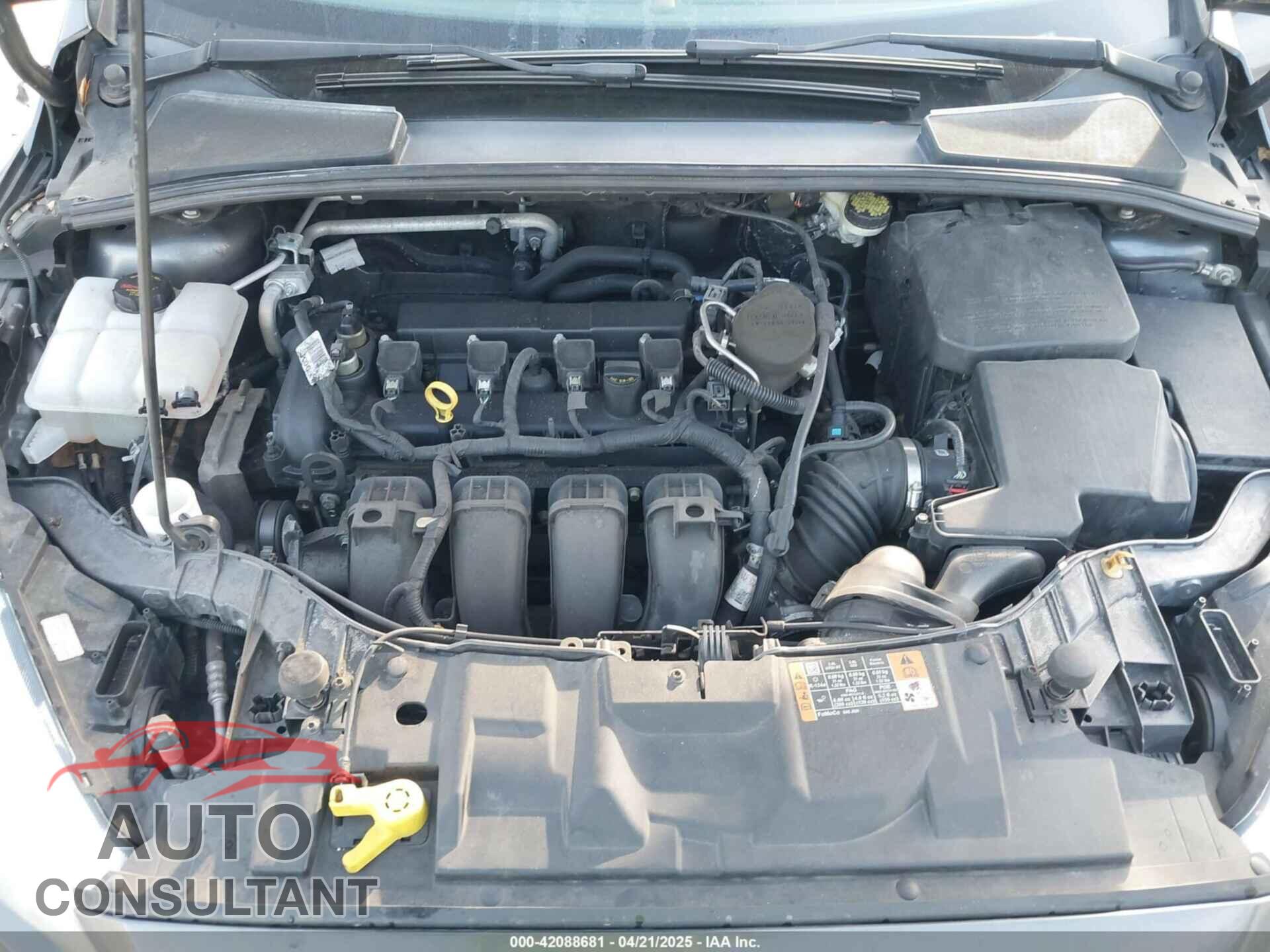 FORD FOCUS 2016 - 1FADP3K21GL258992