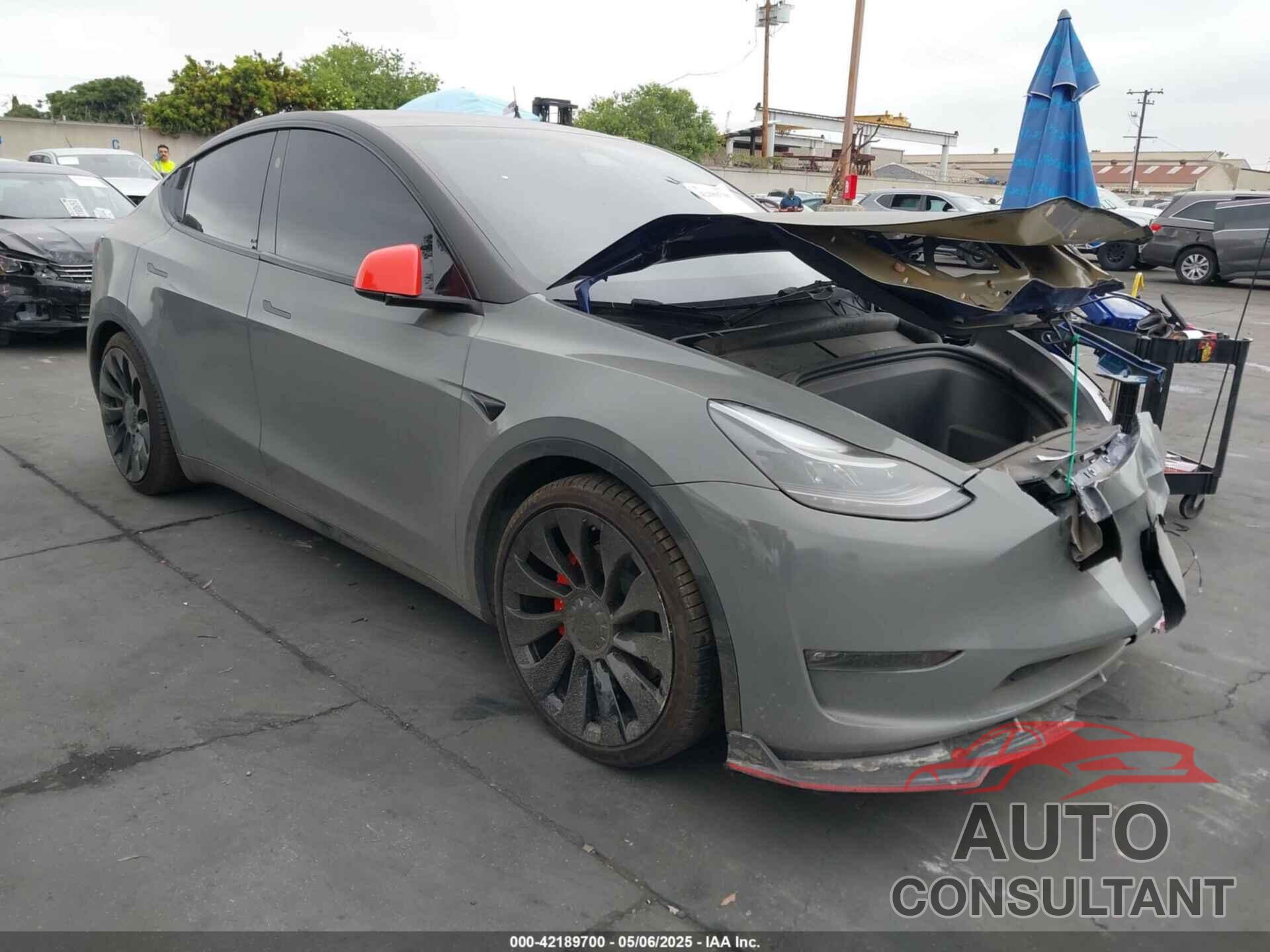 TESLA MODEL Y 2023 - 7SAYGDEF6PF826689