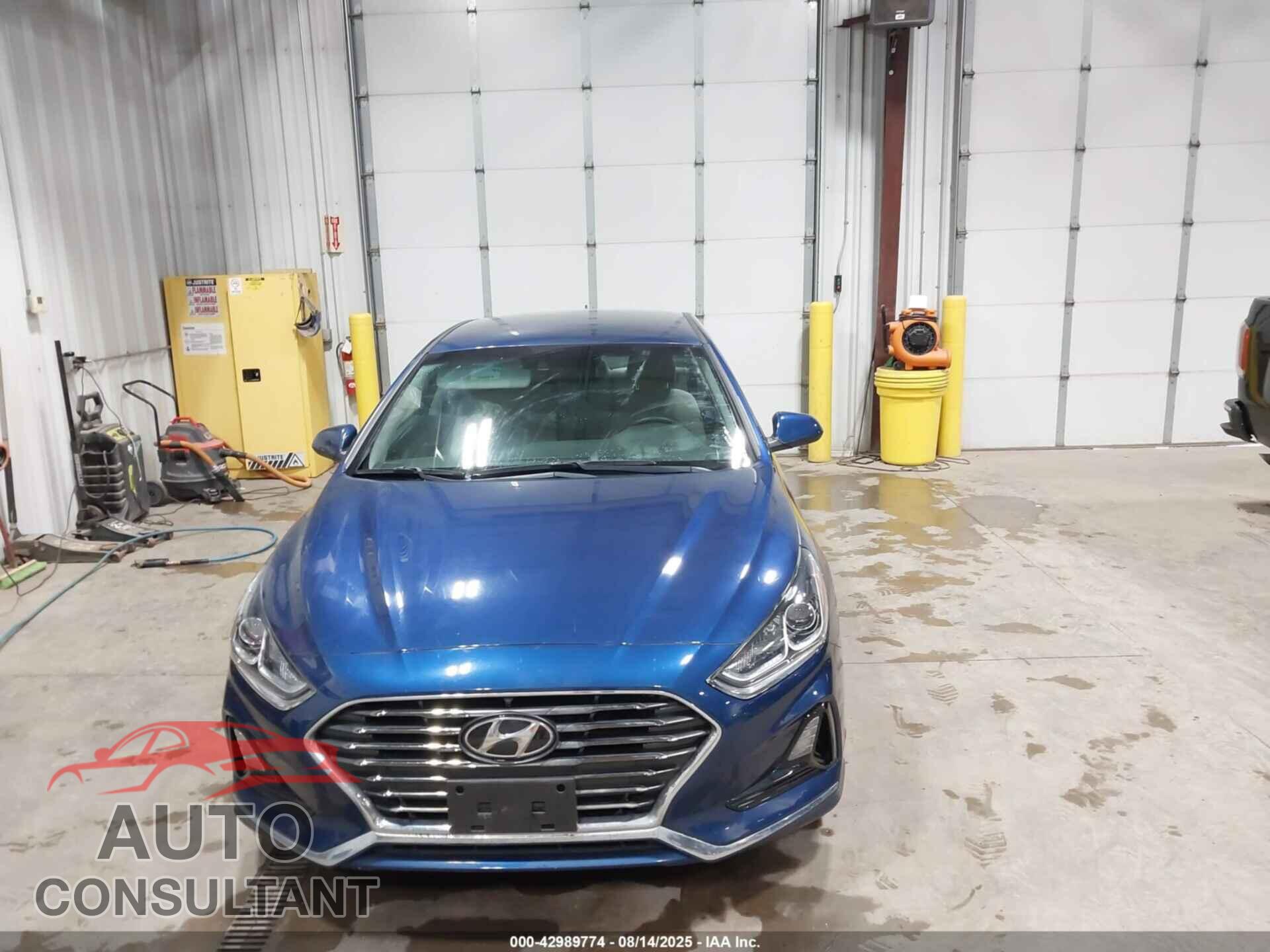 HYUNDAI SONATA 2019 - 5NPE24AFXKH802152