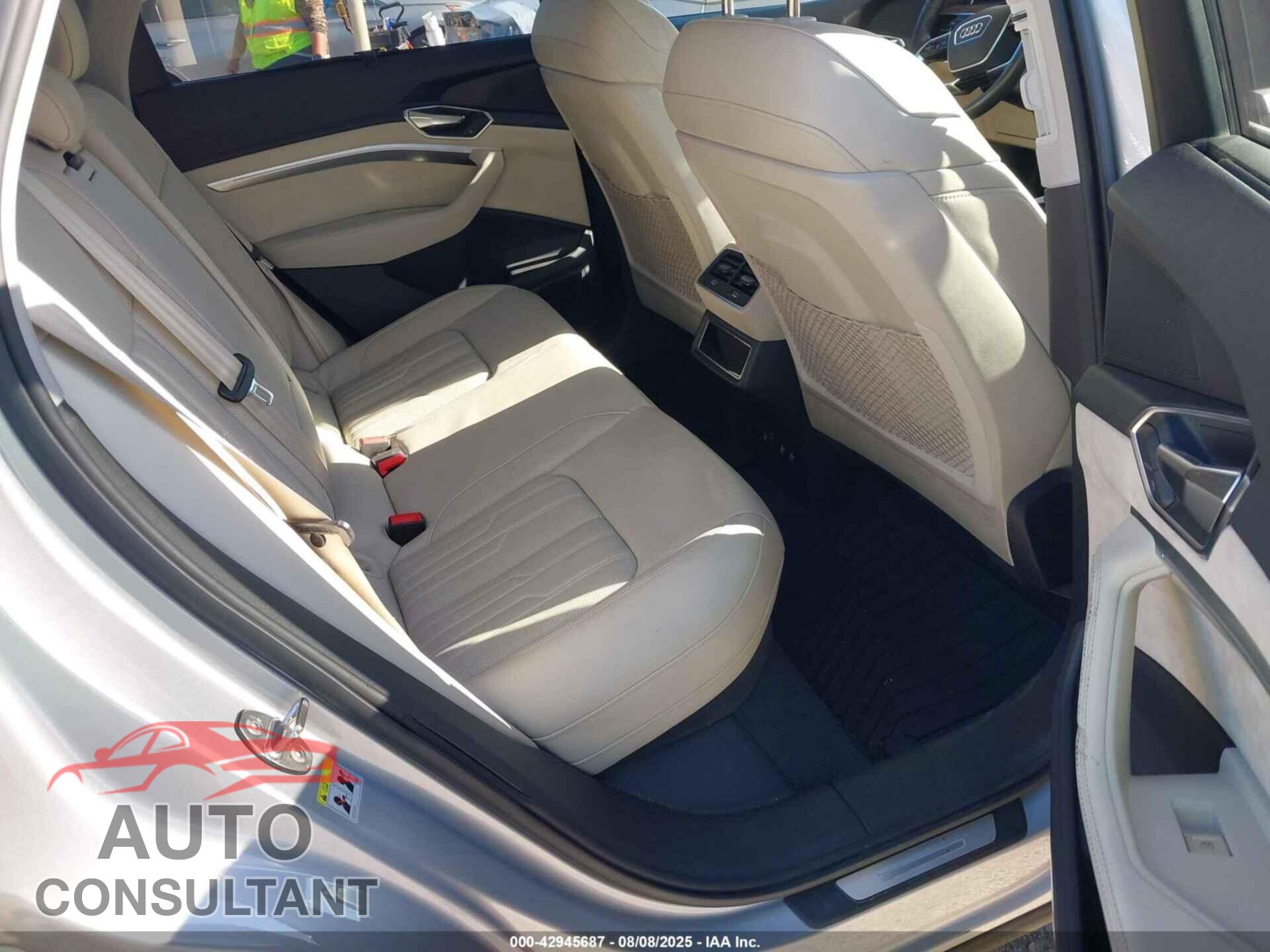 AUDI E-TRON 2019 - WA1VAAGE3KB010498