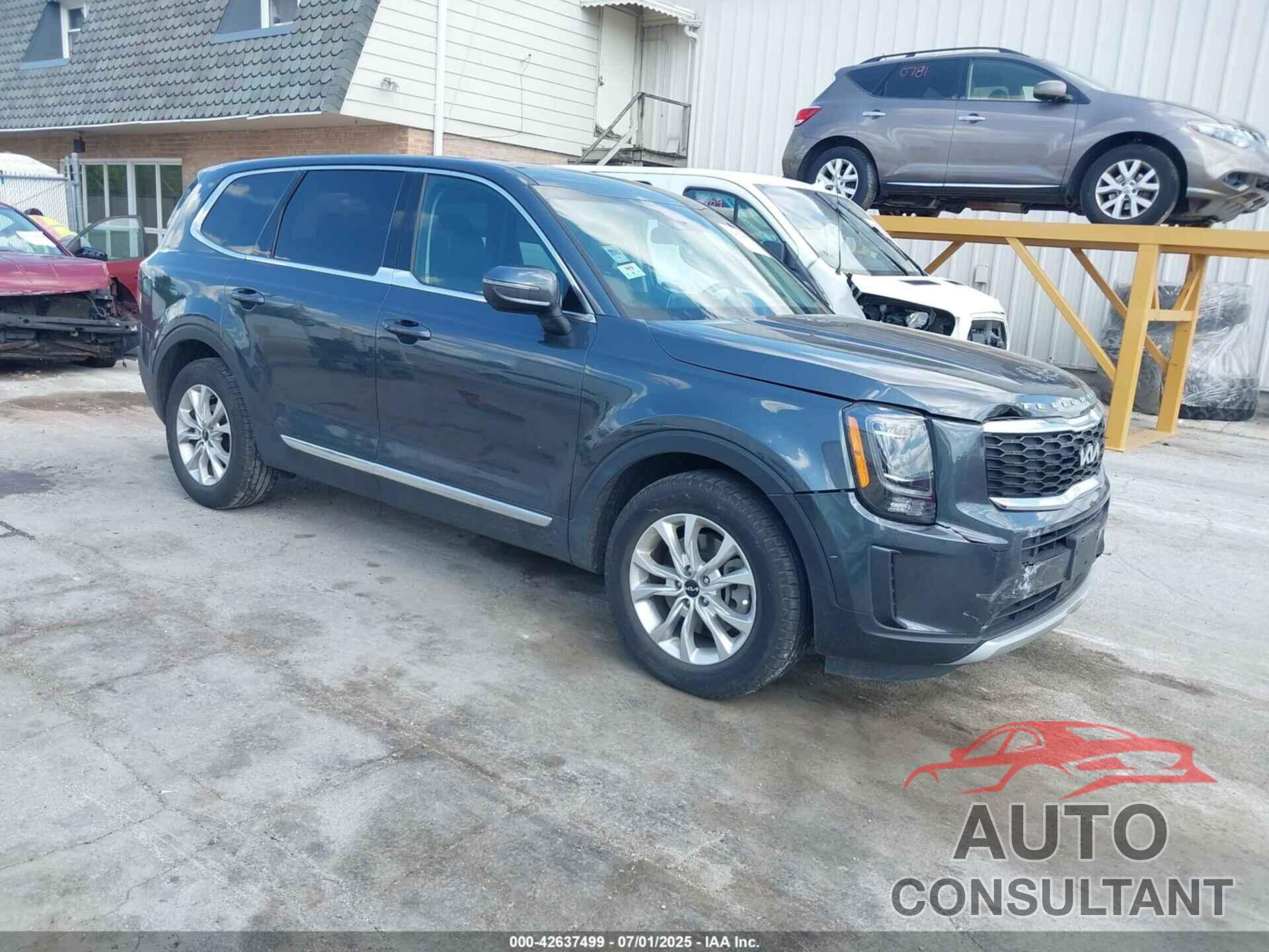 KIA TELLURIDE 2022 - 5XYP2DHC3NG279640