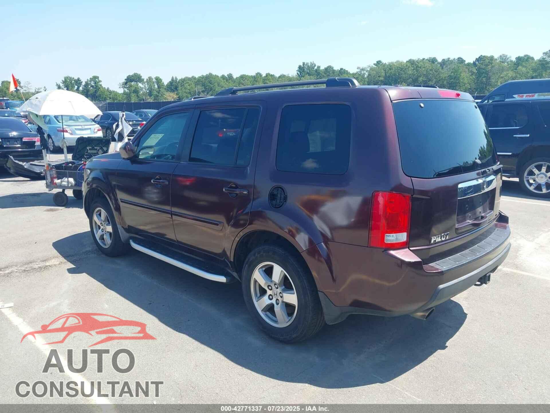 HONDA PILOT 2009 - 5FNYF38549B021810