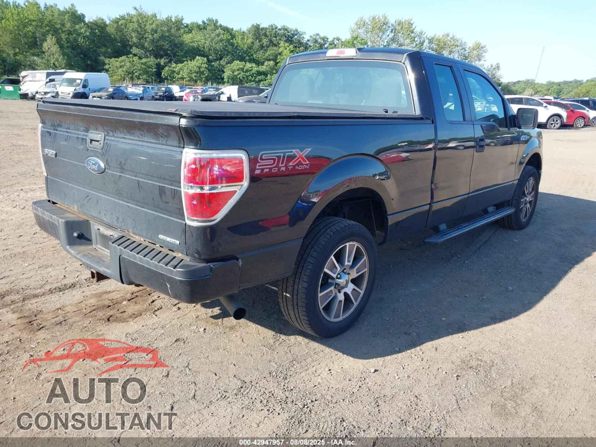 FORD F-150 2014 - 1FTFX1EFXEFC81172