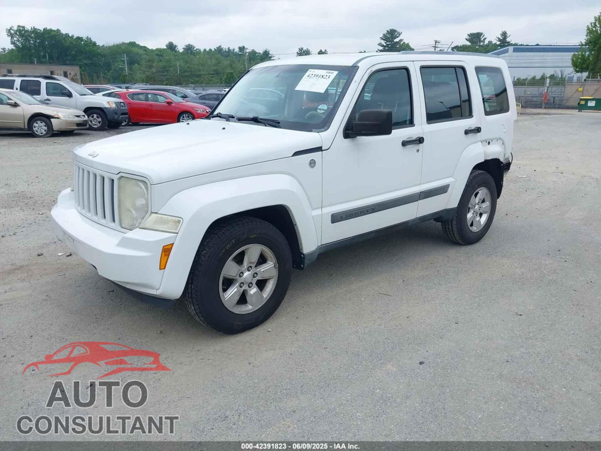 JEEP LIBERTY 2011 - 1J4PN2GK3BW579854