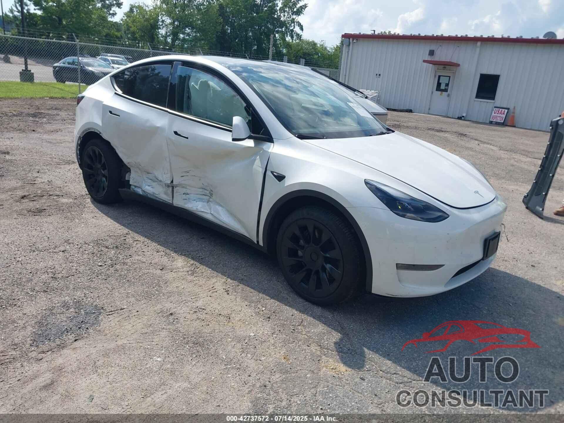 TESLA MODEL Y 2024 - 7SAYGDEE3RA248901