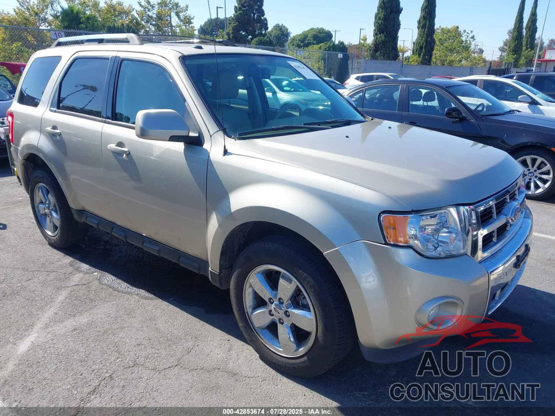FORD ESCAPE 2011 - 1FMCU0EG5BKA41749