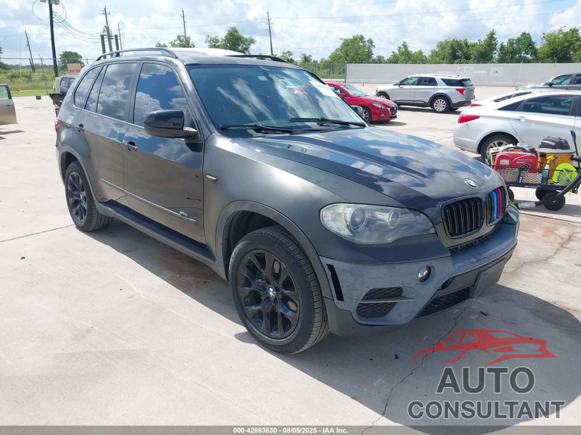 BMW X5 2011 - 5UXZV4C52BL416901