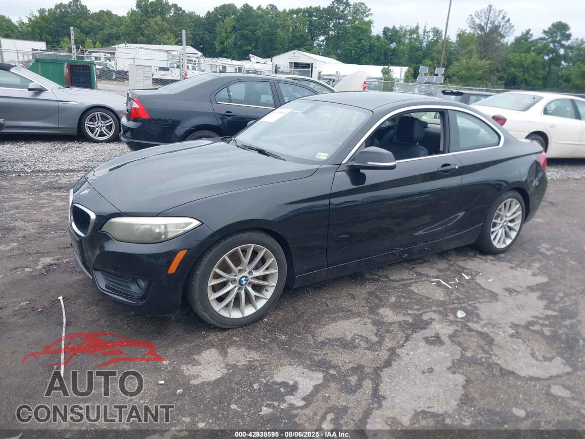 BMW 228I 2014 - WBA1F5C50EVW97894