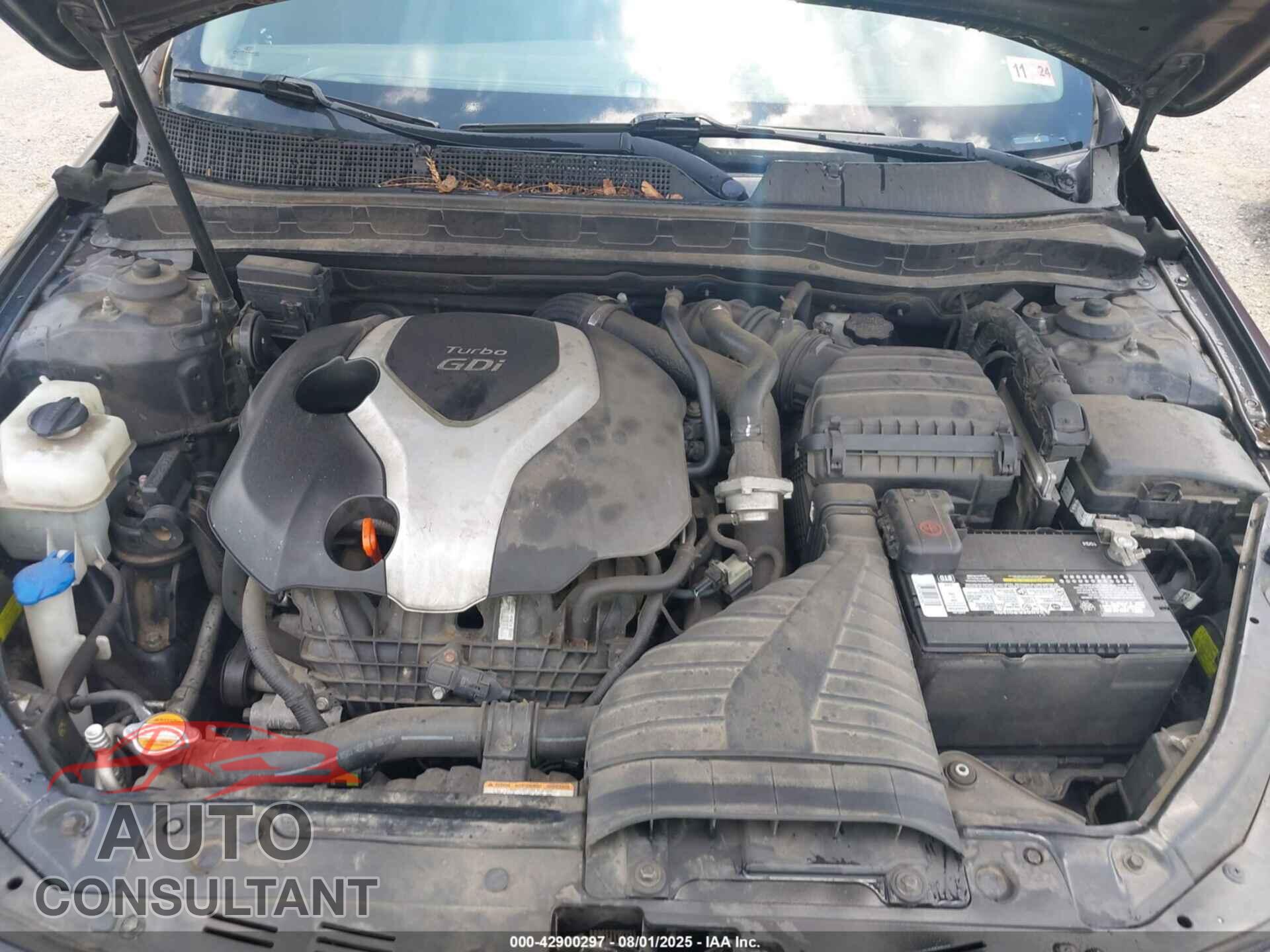 KIA OPTIMA 2011 - KNAGR4A67B5154173