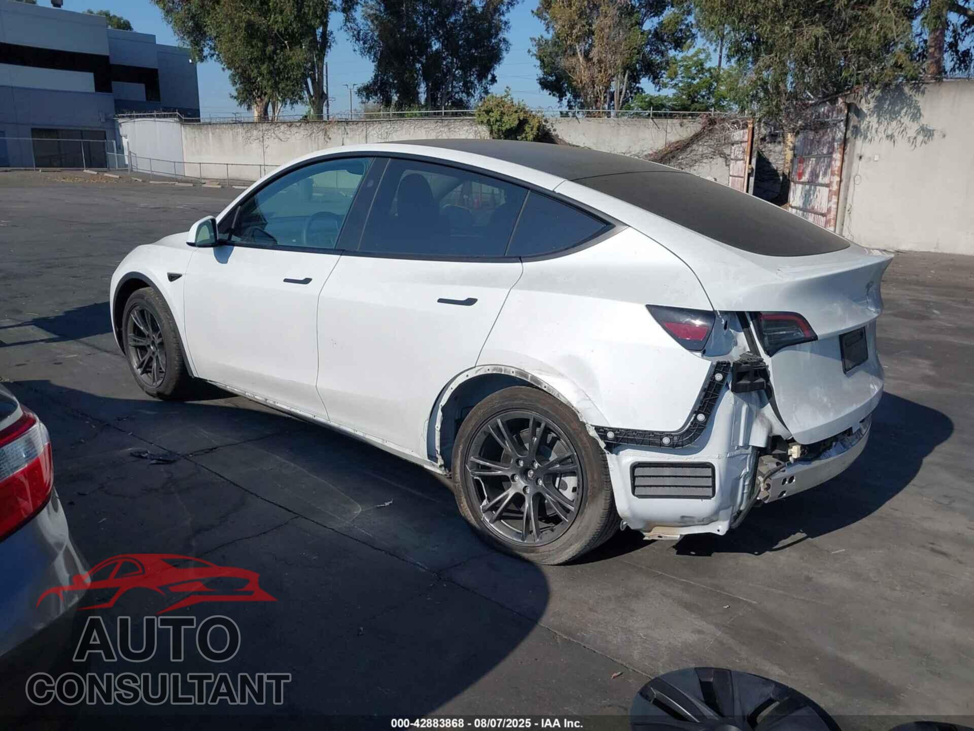 TESLA MODEL Y 2024 - 7SAYGDEE2RF121527