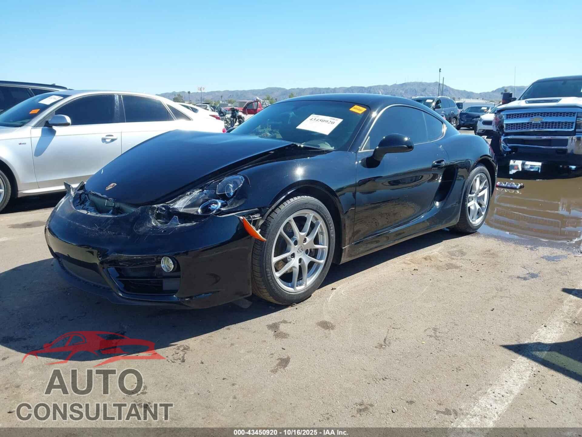 PORSCHE CAYMAN 2014 - WP0AA2A87EK171793
