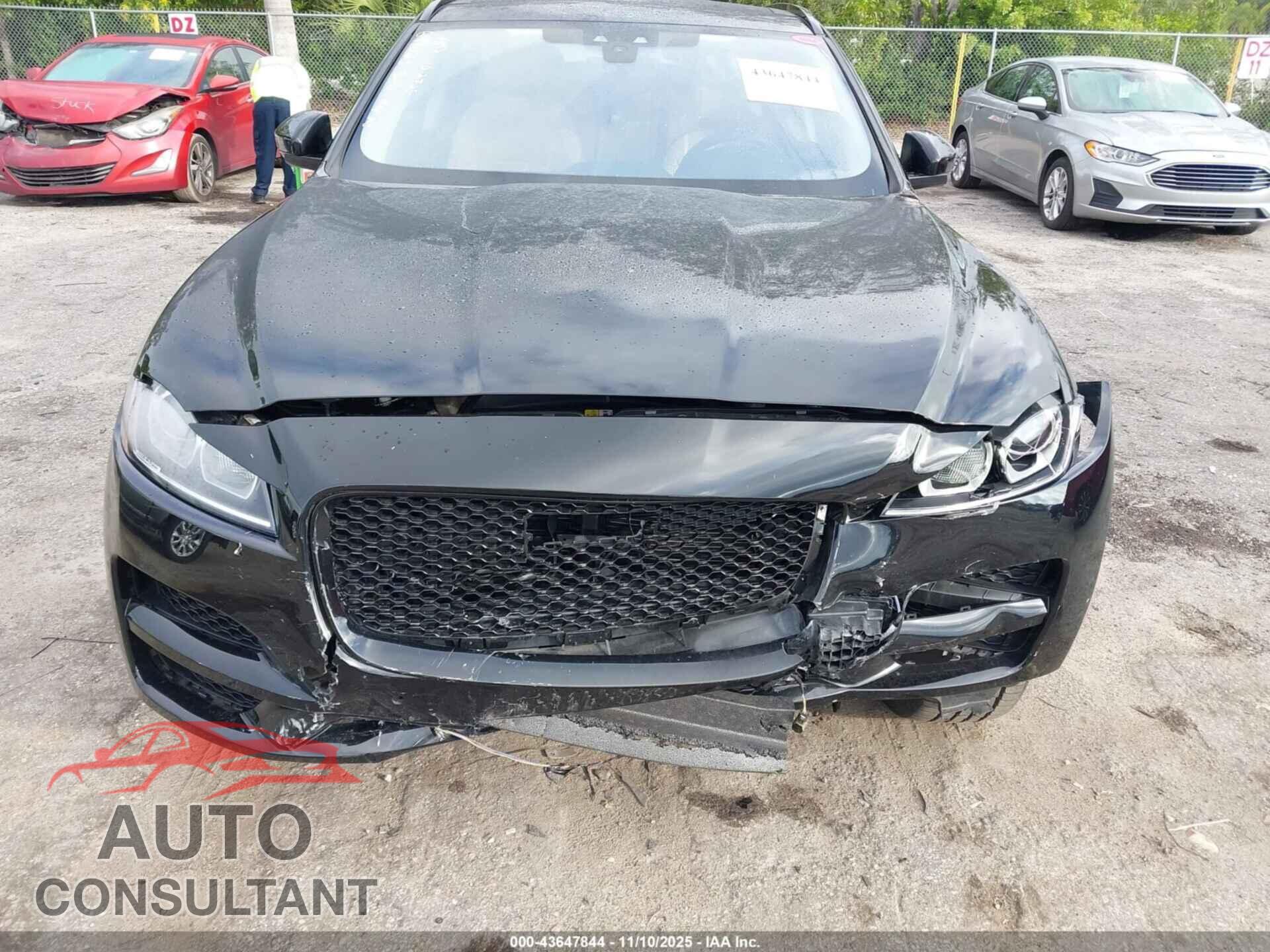 JAGUAR F-PACE 2020 - SADCJ2FX8LA649221