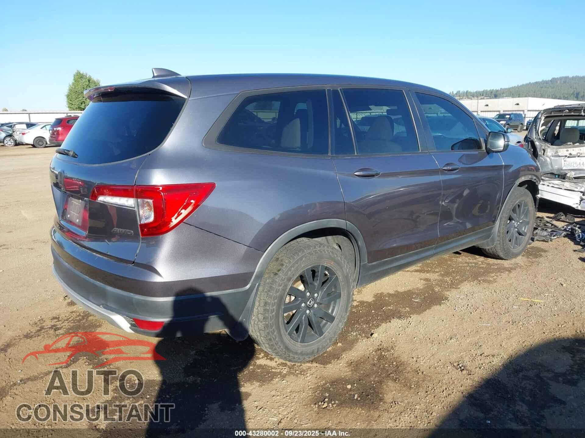 HONDA PILOT 2019 - 5FNYF6H5XKB093439