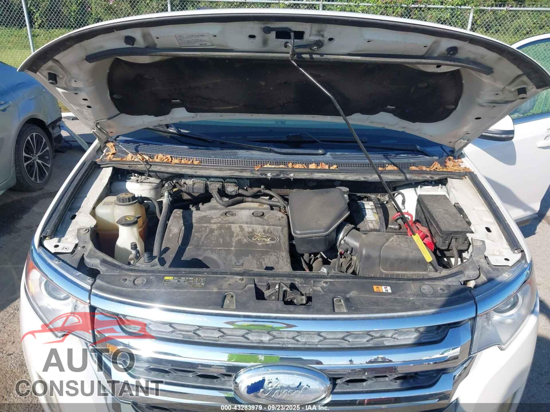 FORD EDGE 2014 - 2FMDK3KC3EBB83884