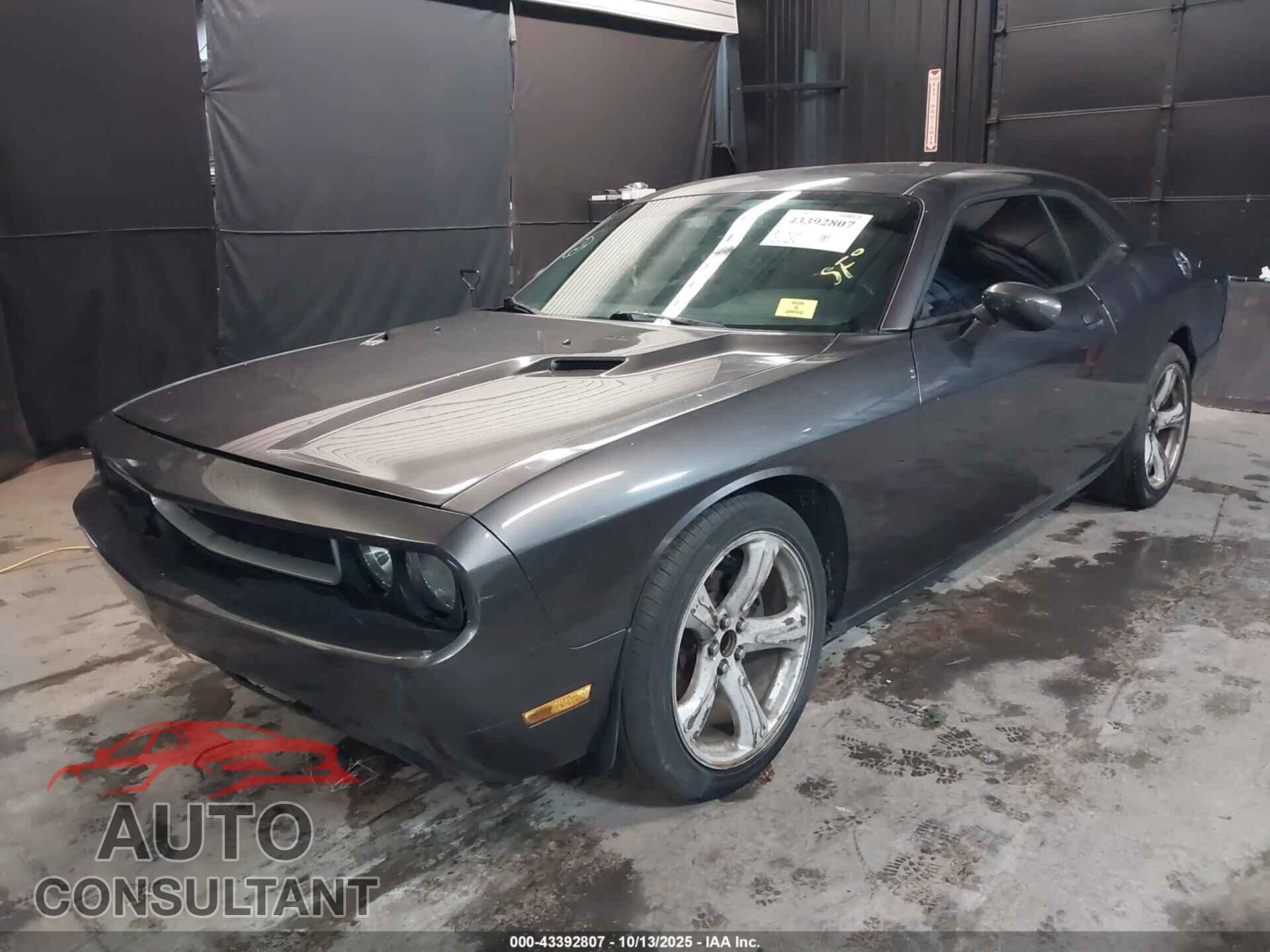 DODGE CHALLENGER 2013 - 2C3CDYAG5DH593050