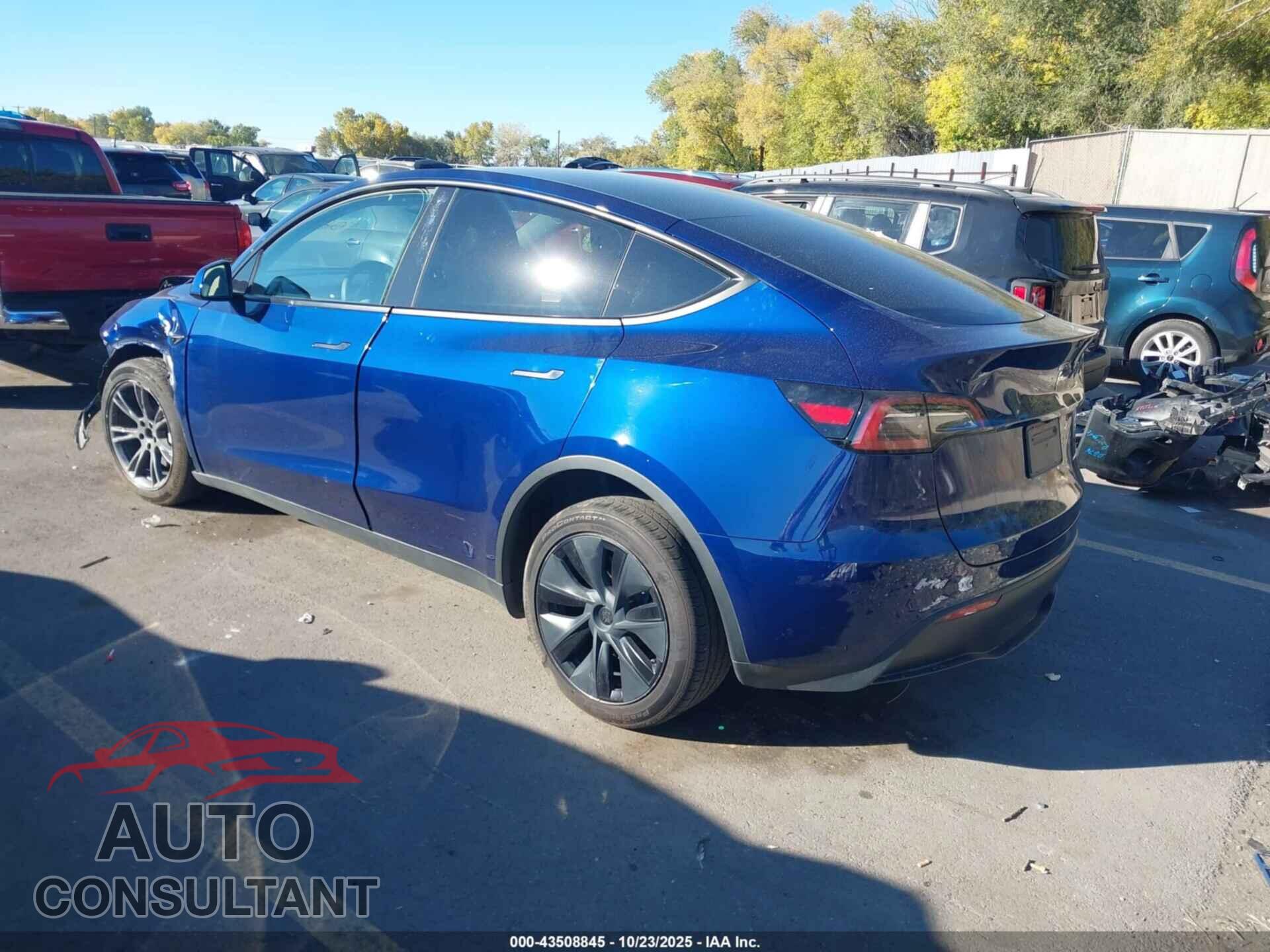 TESLA MODEL Y 2024 - 7SAYGDEE9RF168005